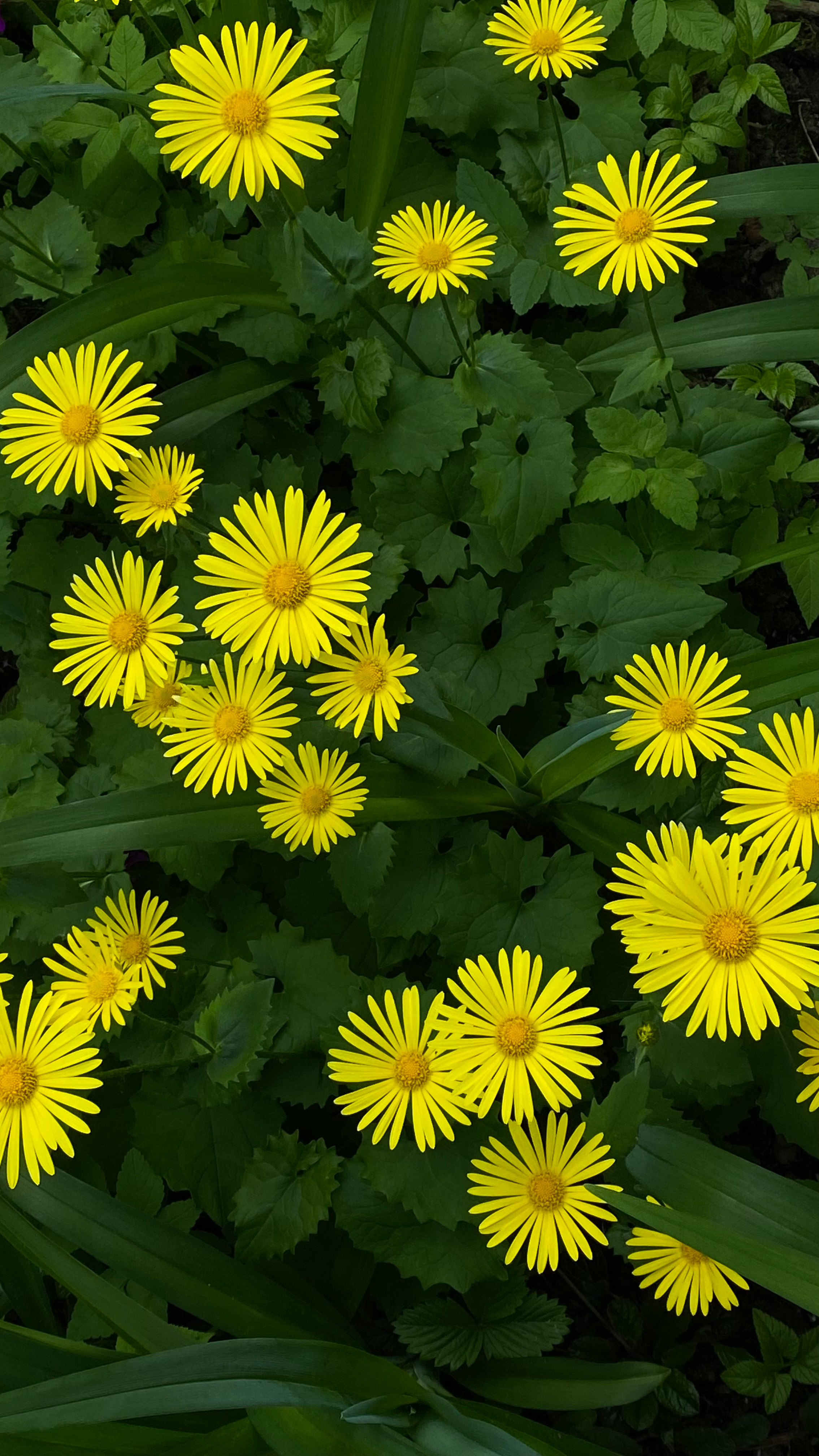 Магия тёмного кадра. Контент-фотограф в Нижнем Новгороде Антошина Ольга