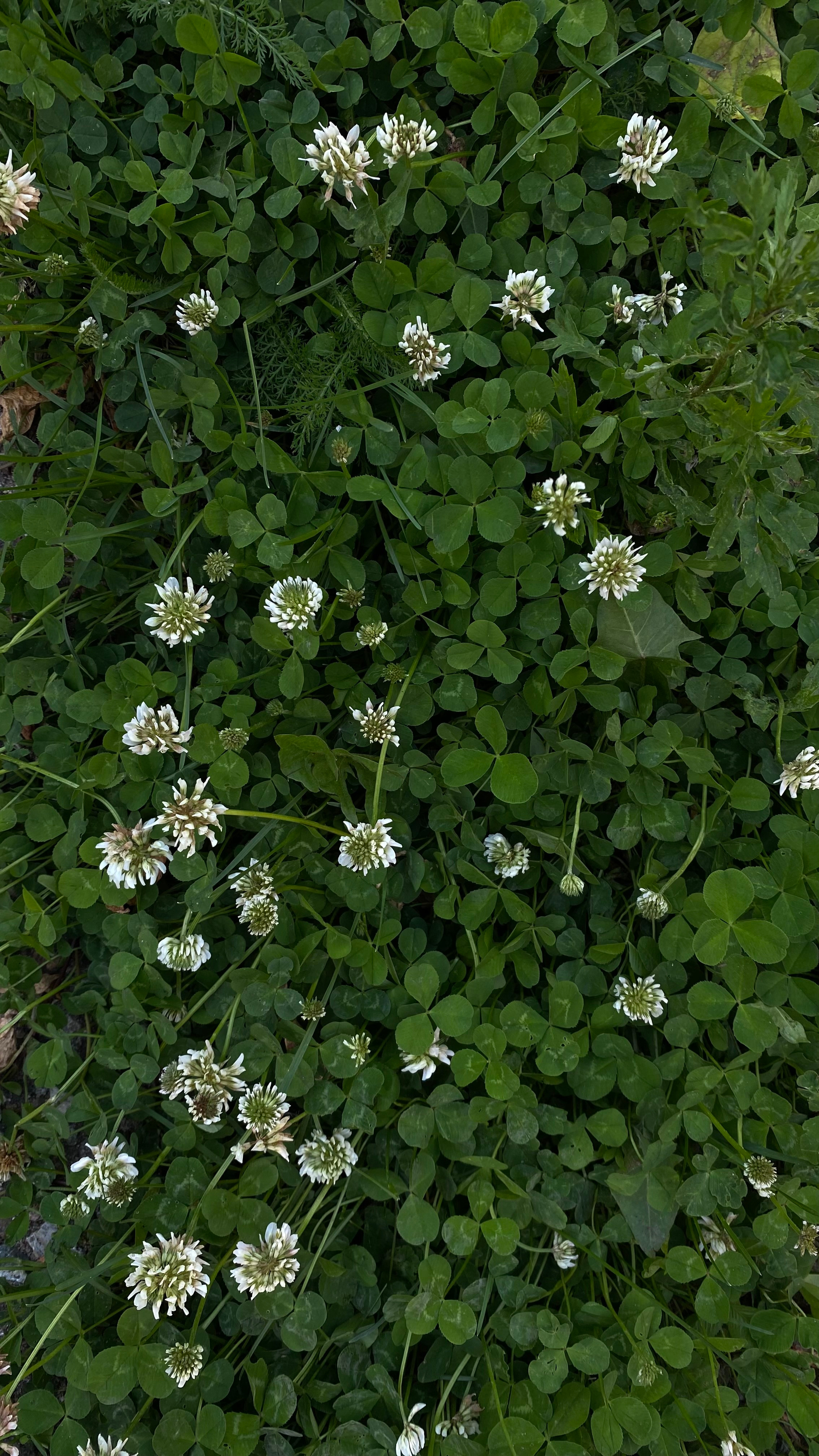 Магия тёмного кадра. Контент-фотограф в Нижнем Новгороде Антошина Ольга