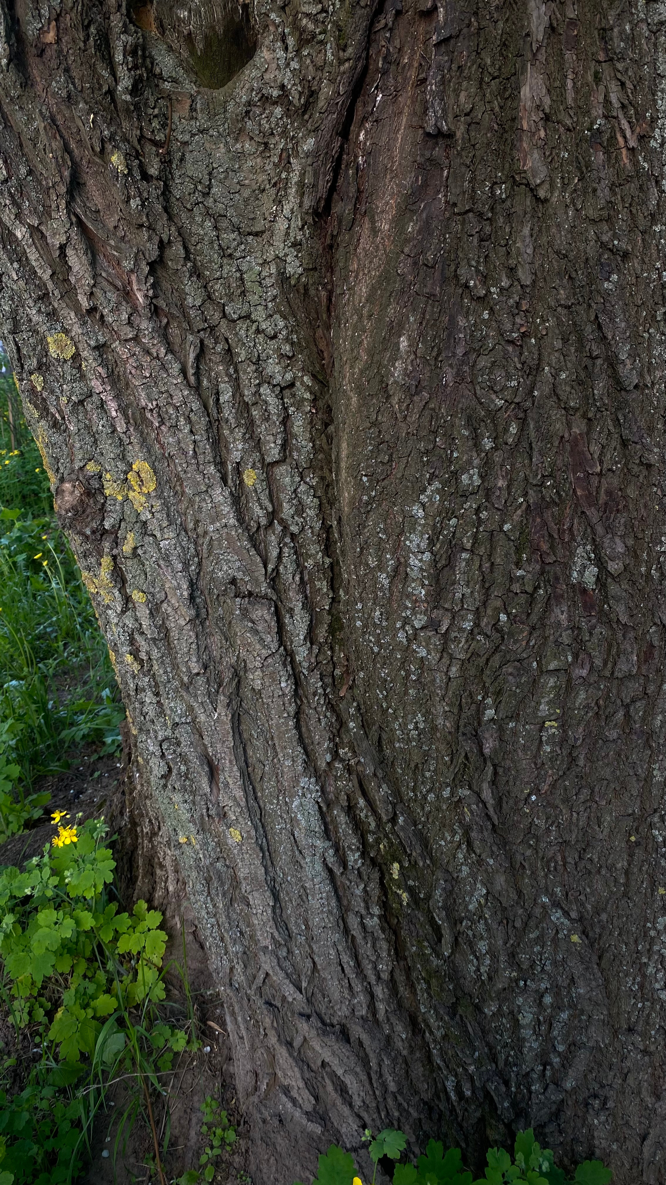Магия тёмного кадра. Контент-фотограф в Нижнем Новгороде Антошина Ольга