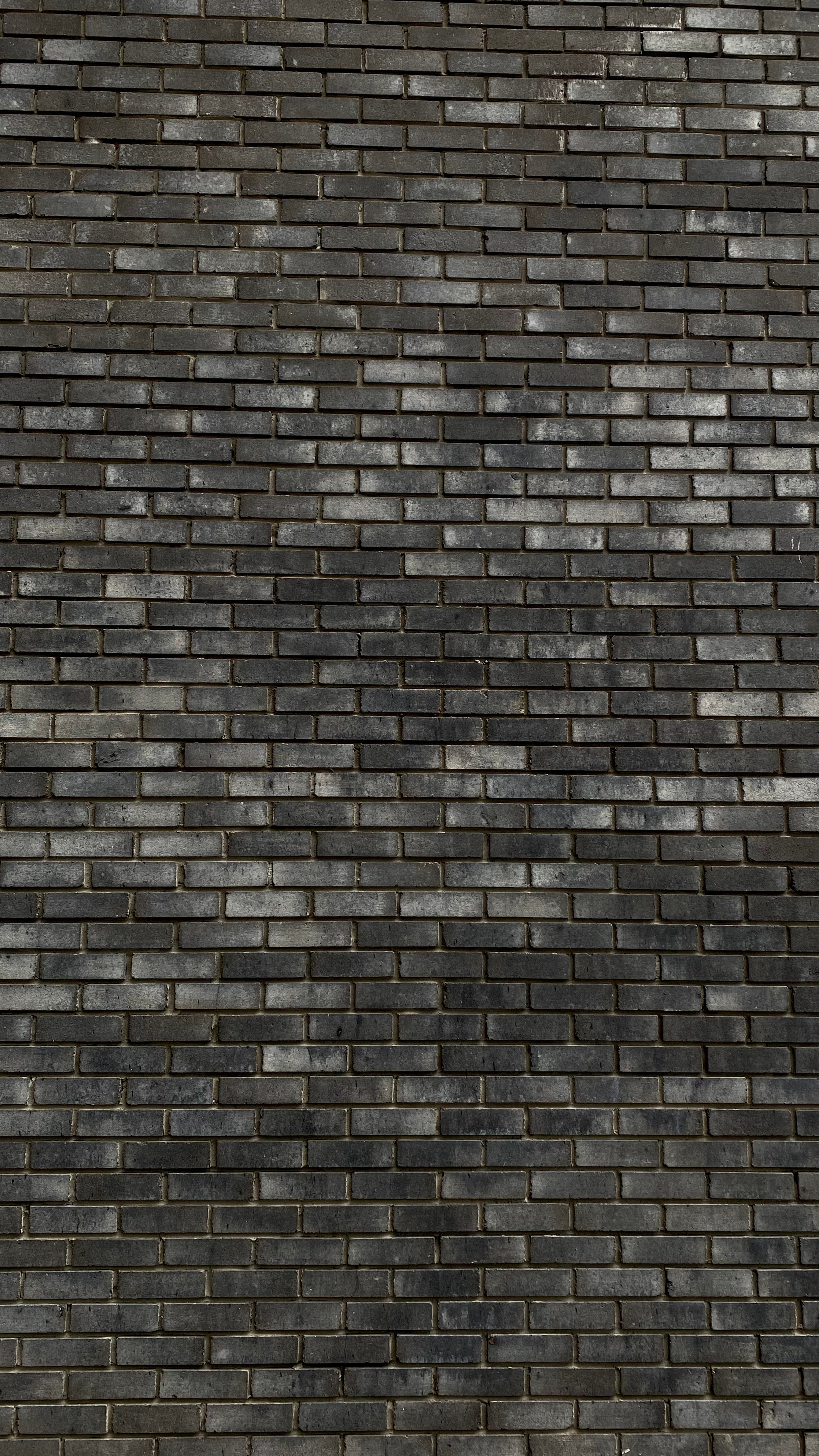 Магия тёмного кадра. Контент-фотограф в Нижнем Новгороде Антошина Ольга