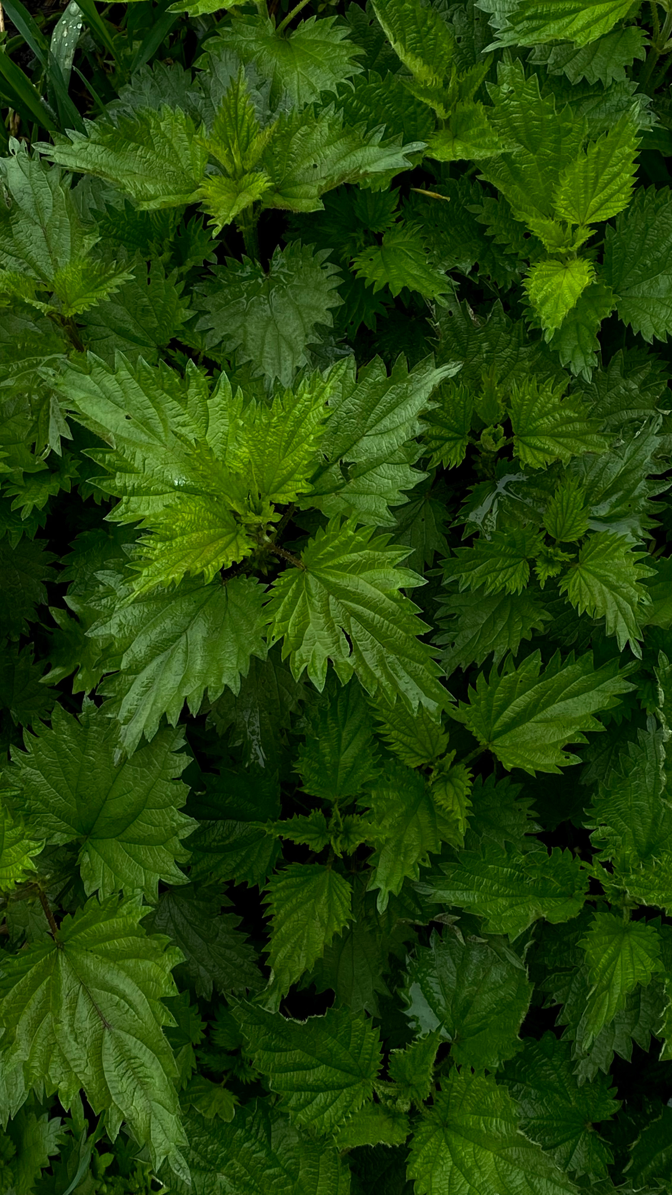 Магия тёмного кадра. Контент-фотограф в Нижнем Новгороде Антошина Ольга
