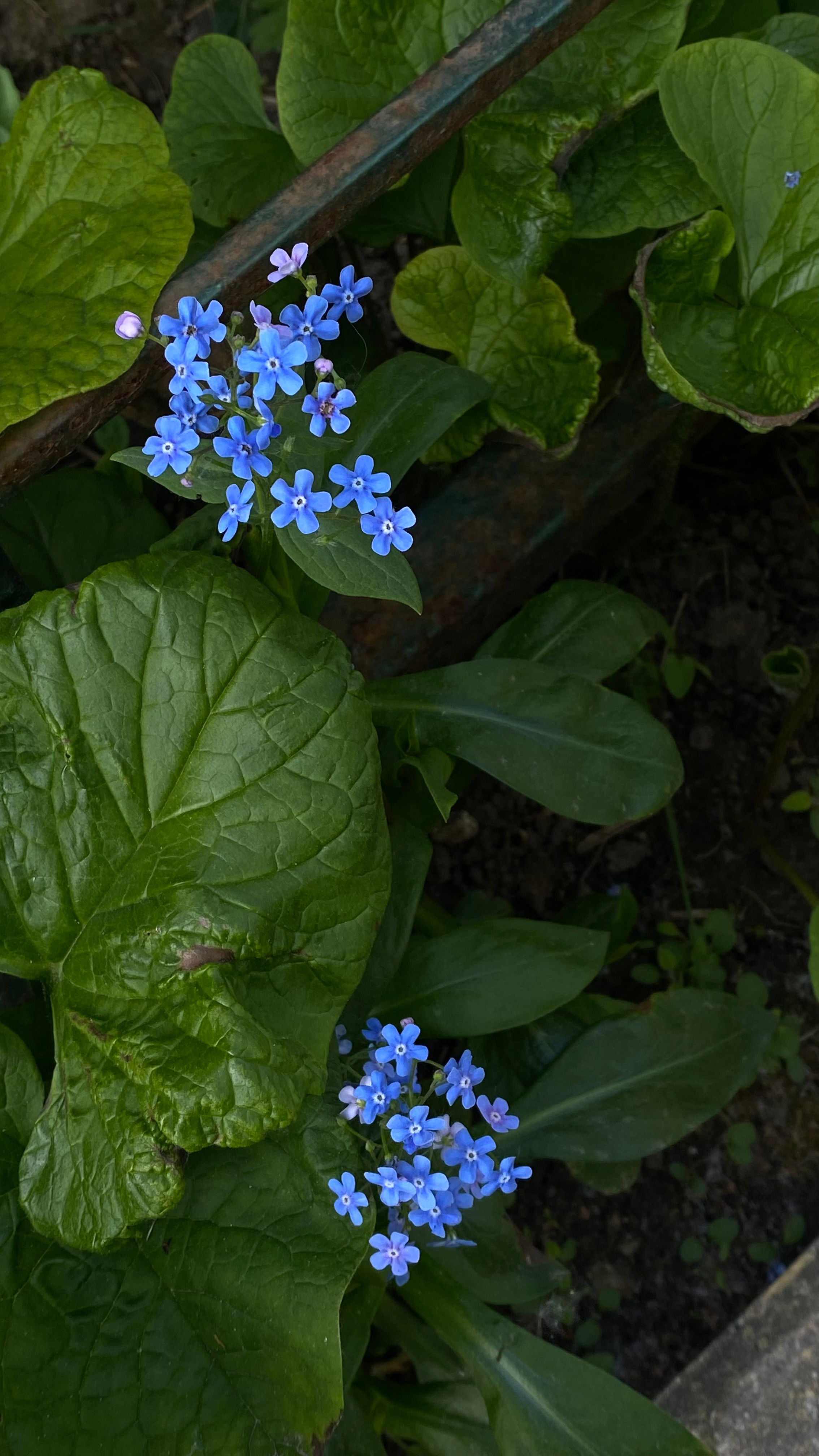 Магия тёмного кадра. Контент-фотограф в Нижнем Новгороде Антошина Ольга