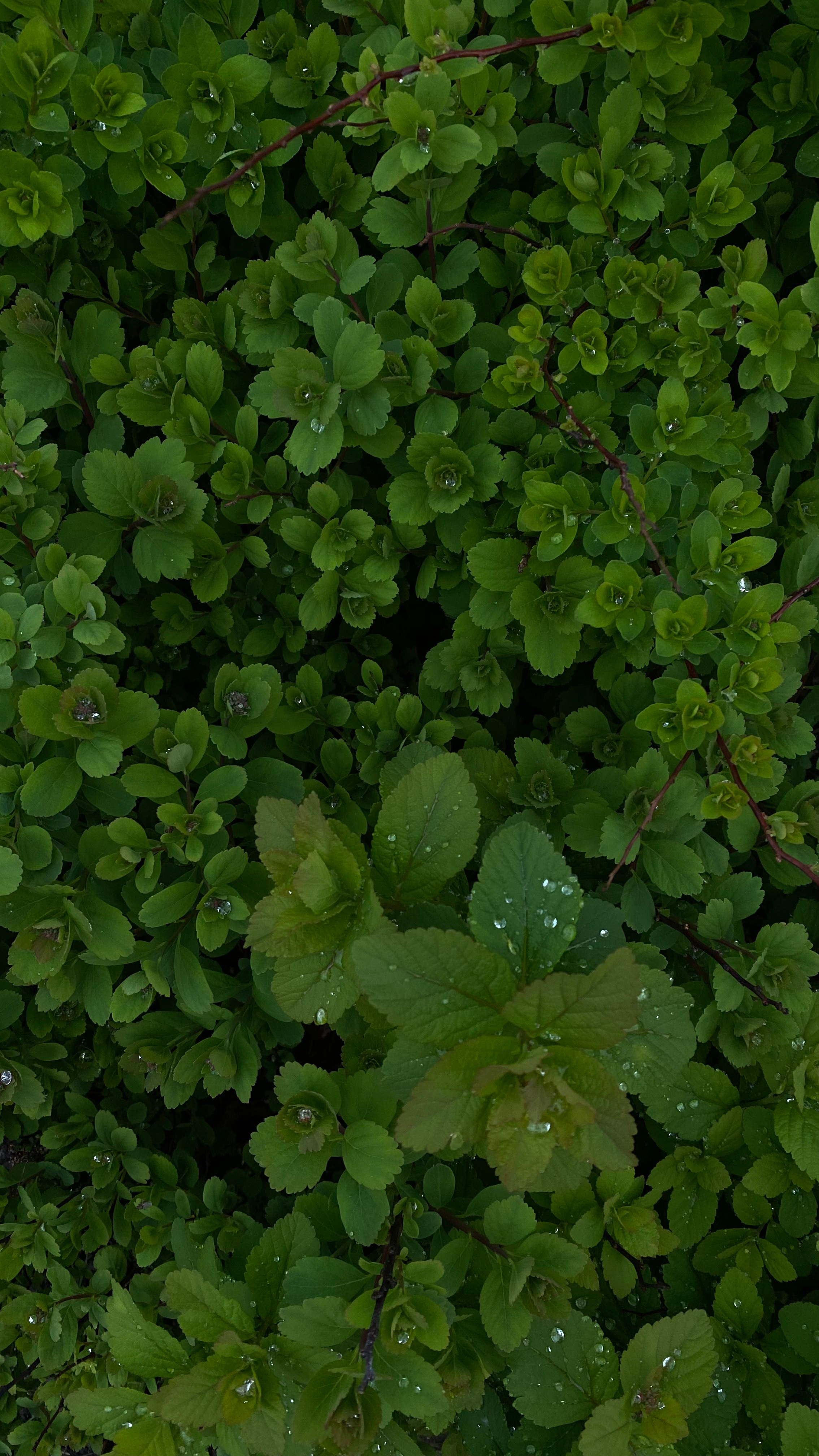 Магия тёмного кадра. Контент-фотограф в Нижнем Новгороде Антошина Ольга