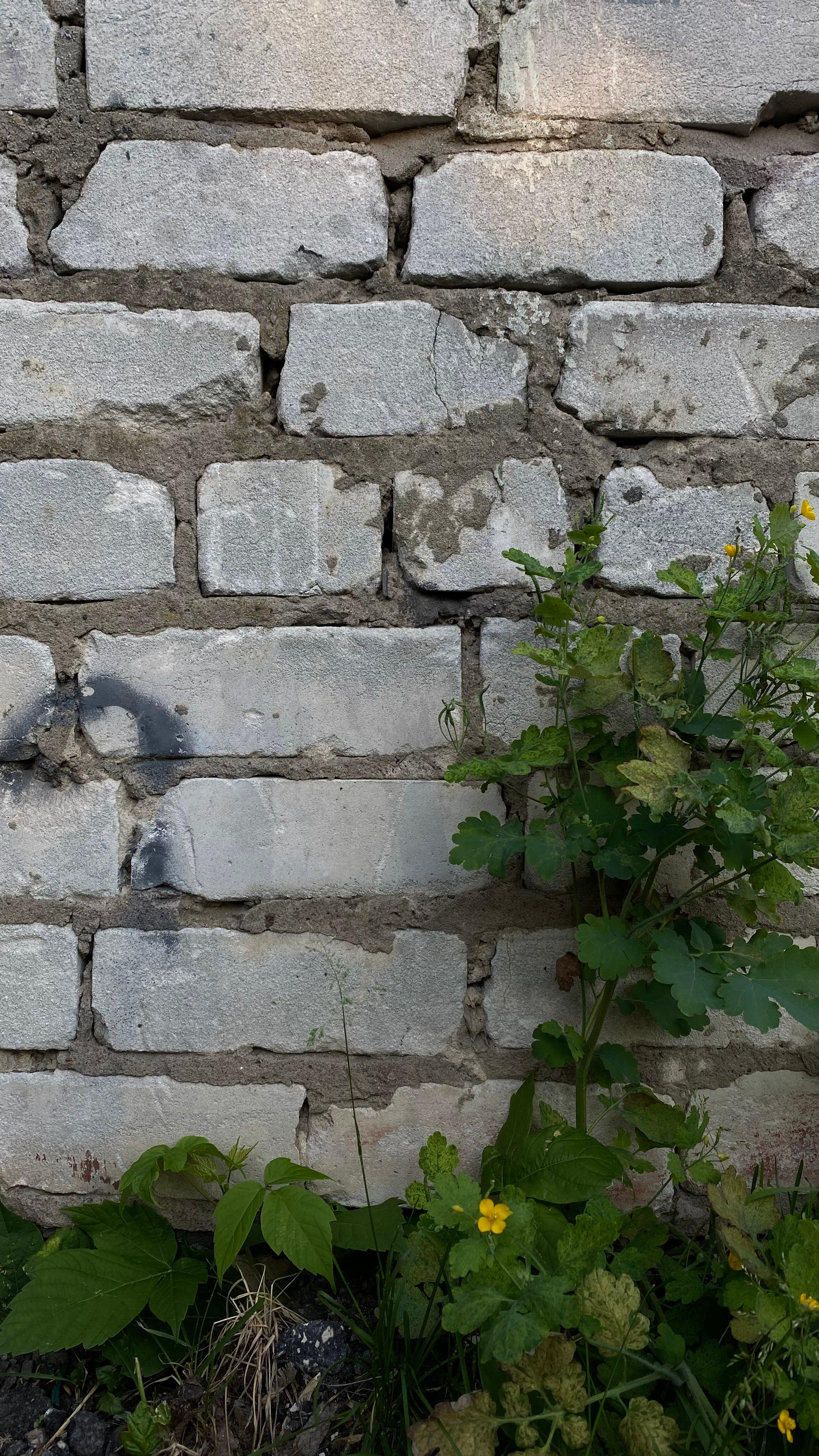 Магия тёмного кадра. Контент-фотограф в Нижнем Новгороде Антошина Ольга