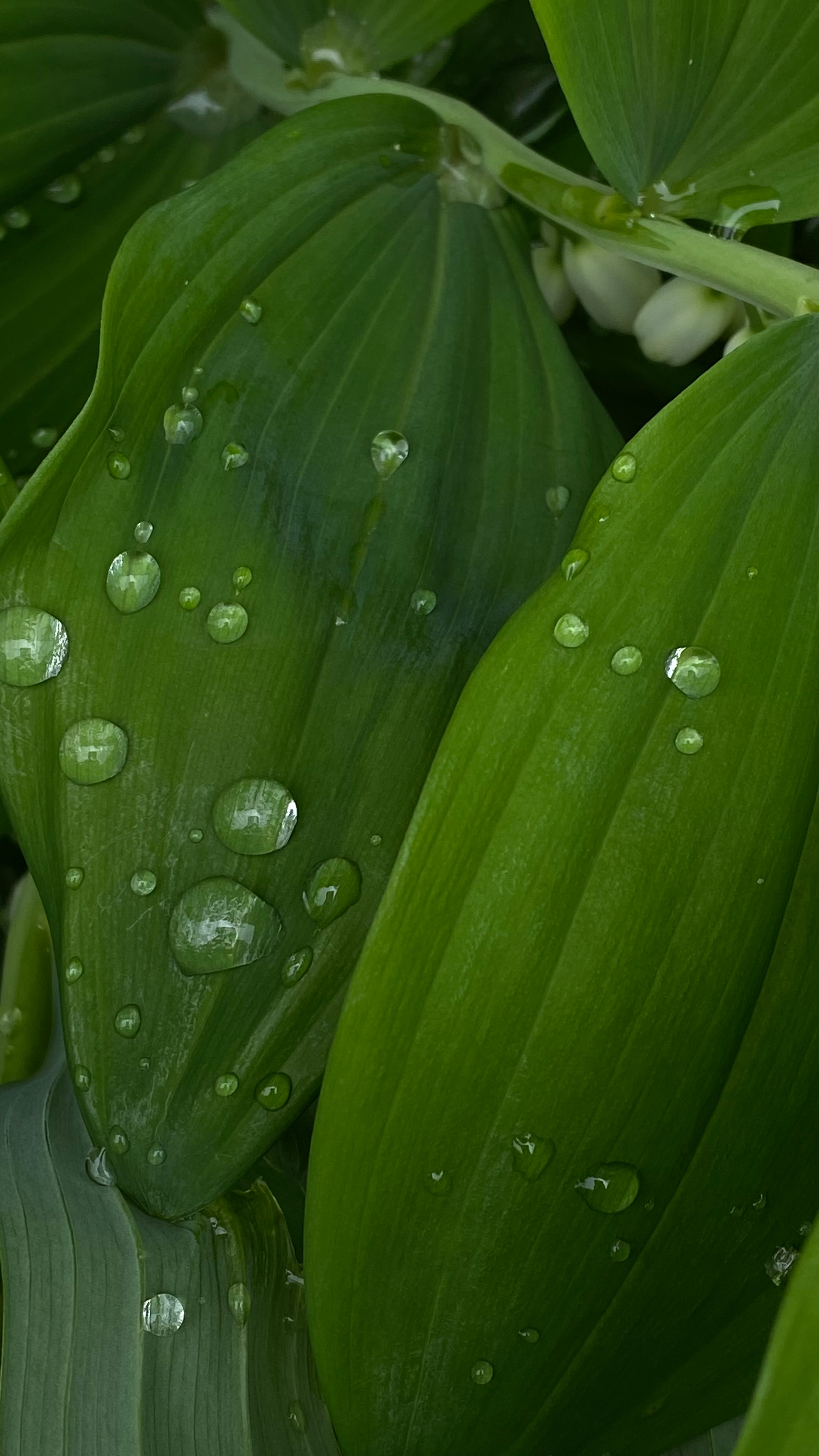 Магия тёмного кадра. Контент-фотограф в Нижнем Новгороде Антошина Ольга