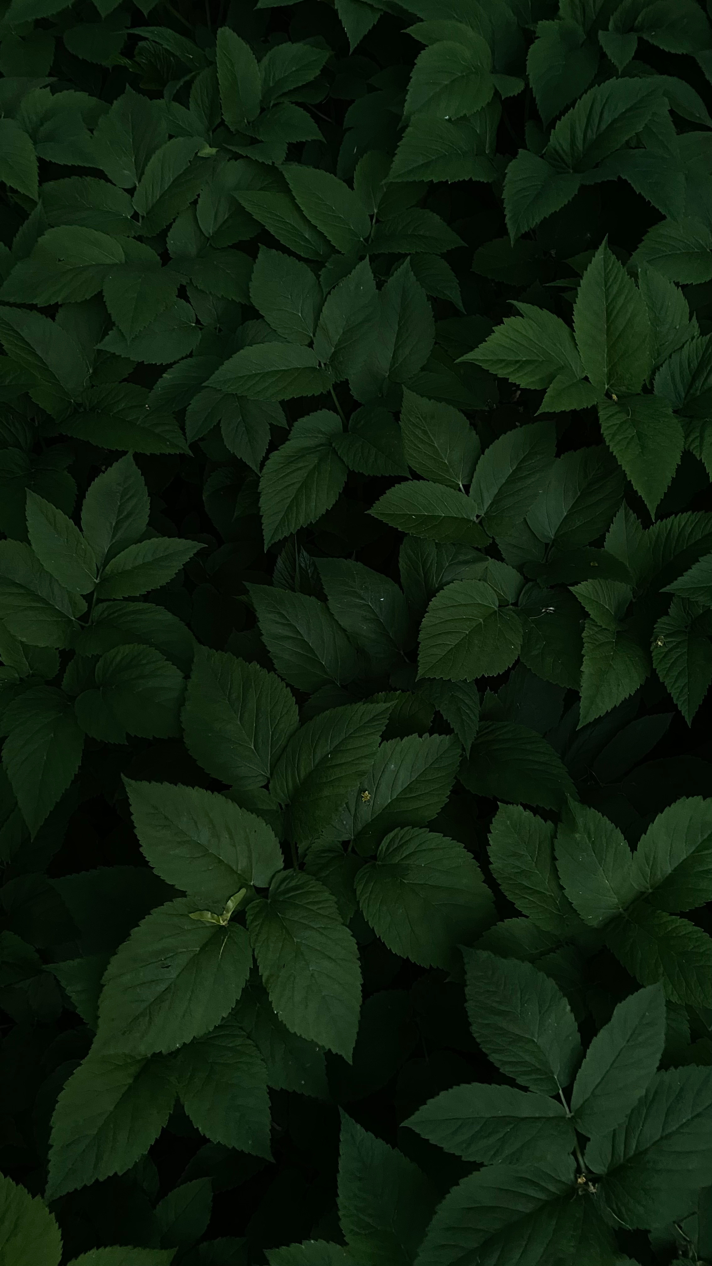 Магия тёмного кадра. Контент-фотограф в Нижнем Новгороде Антошина Ольга