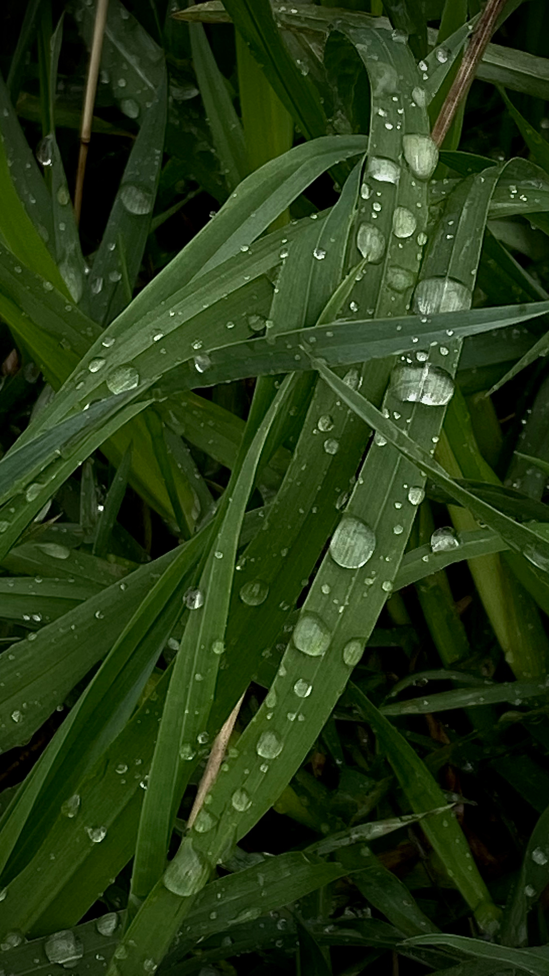 Магия тёмного кадра. Контент-фотограф в Нижнем Новгороде Антошина Ольга