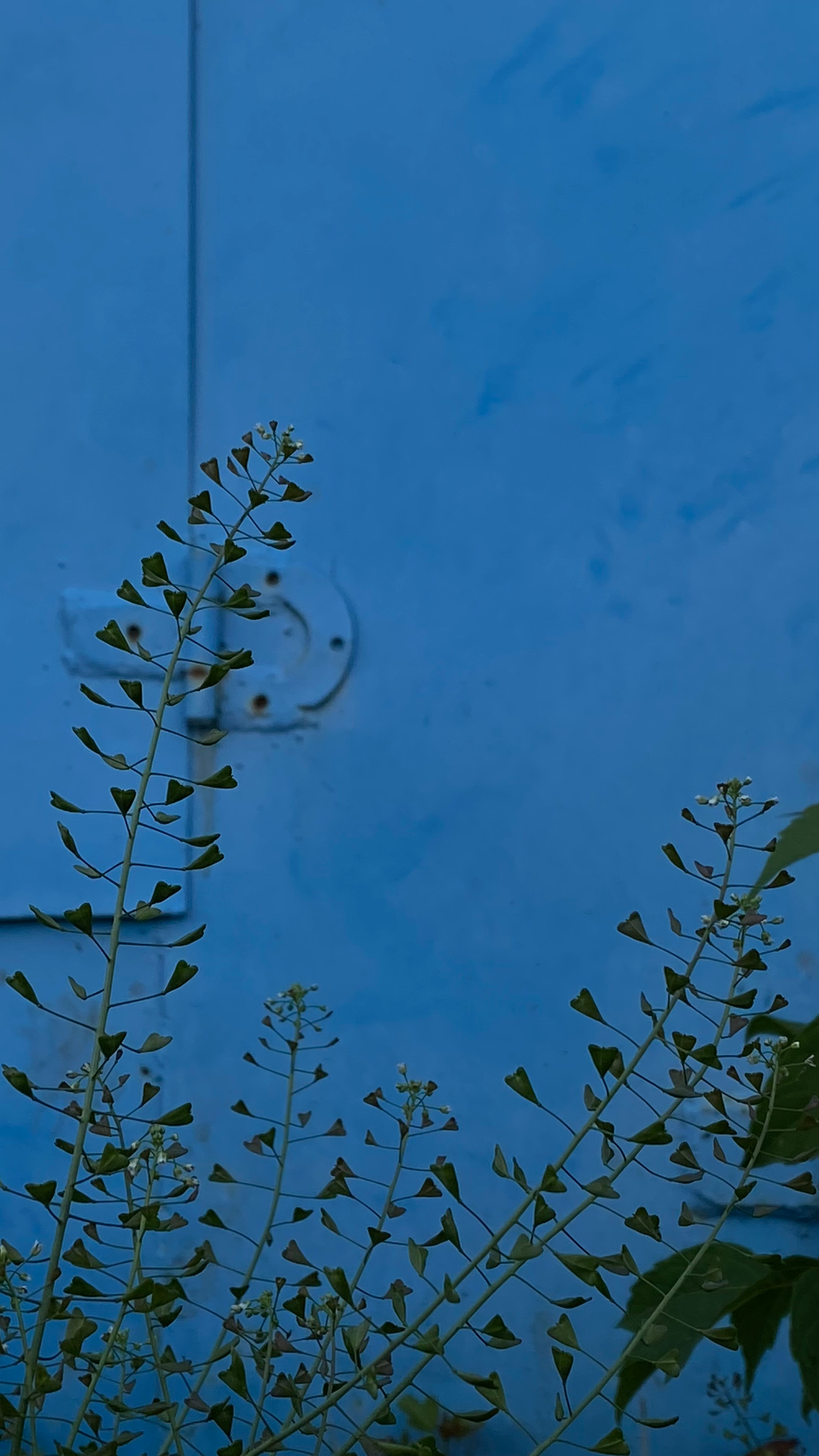 Магия тёмного кадра. Контент-фотограф в Нижнем Новгороде Антошина Ольга