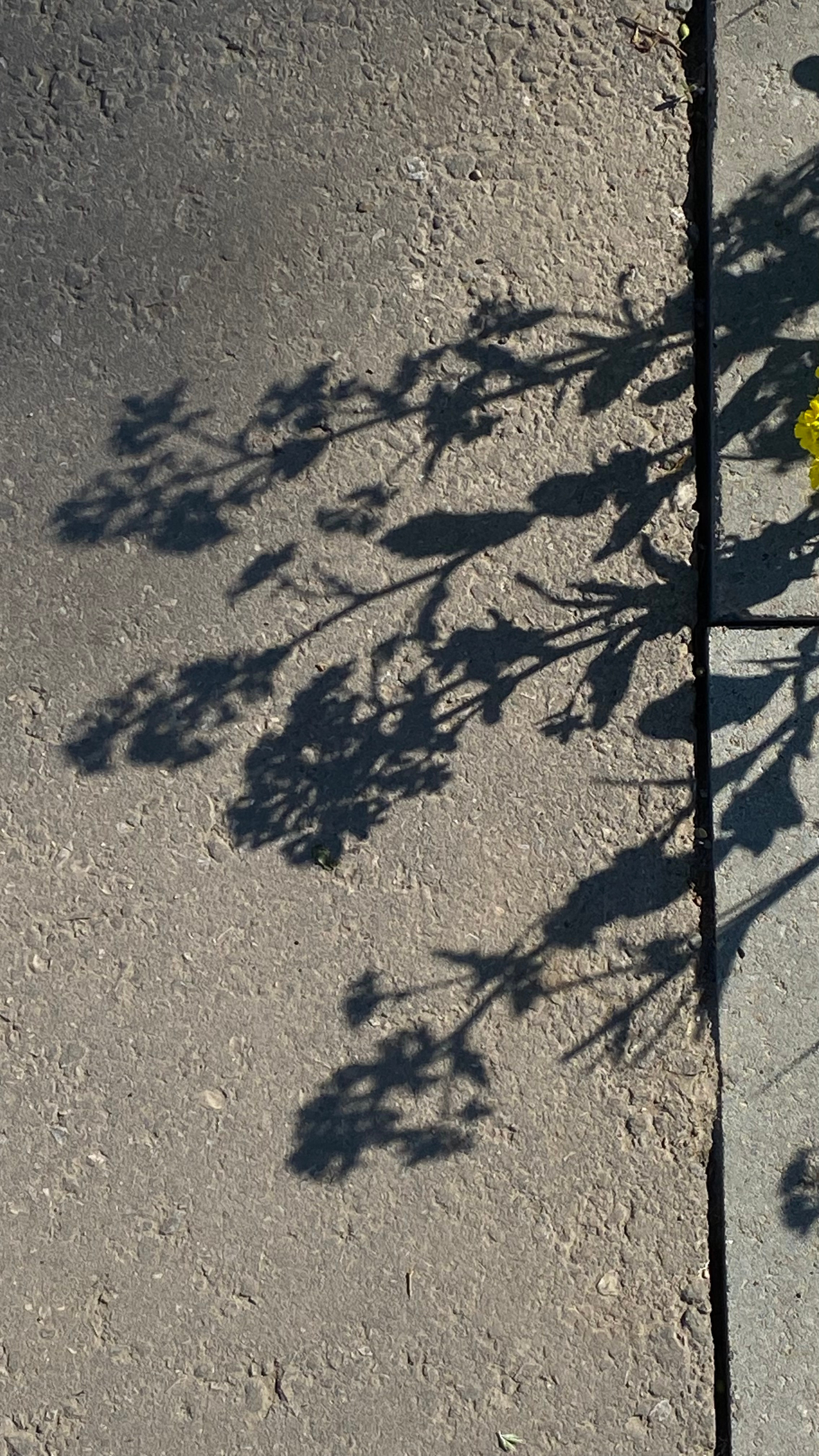 Магия тёмного кадра. Контент-фотограф в Нижнем Новгороде Антошина Ольга