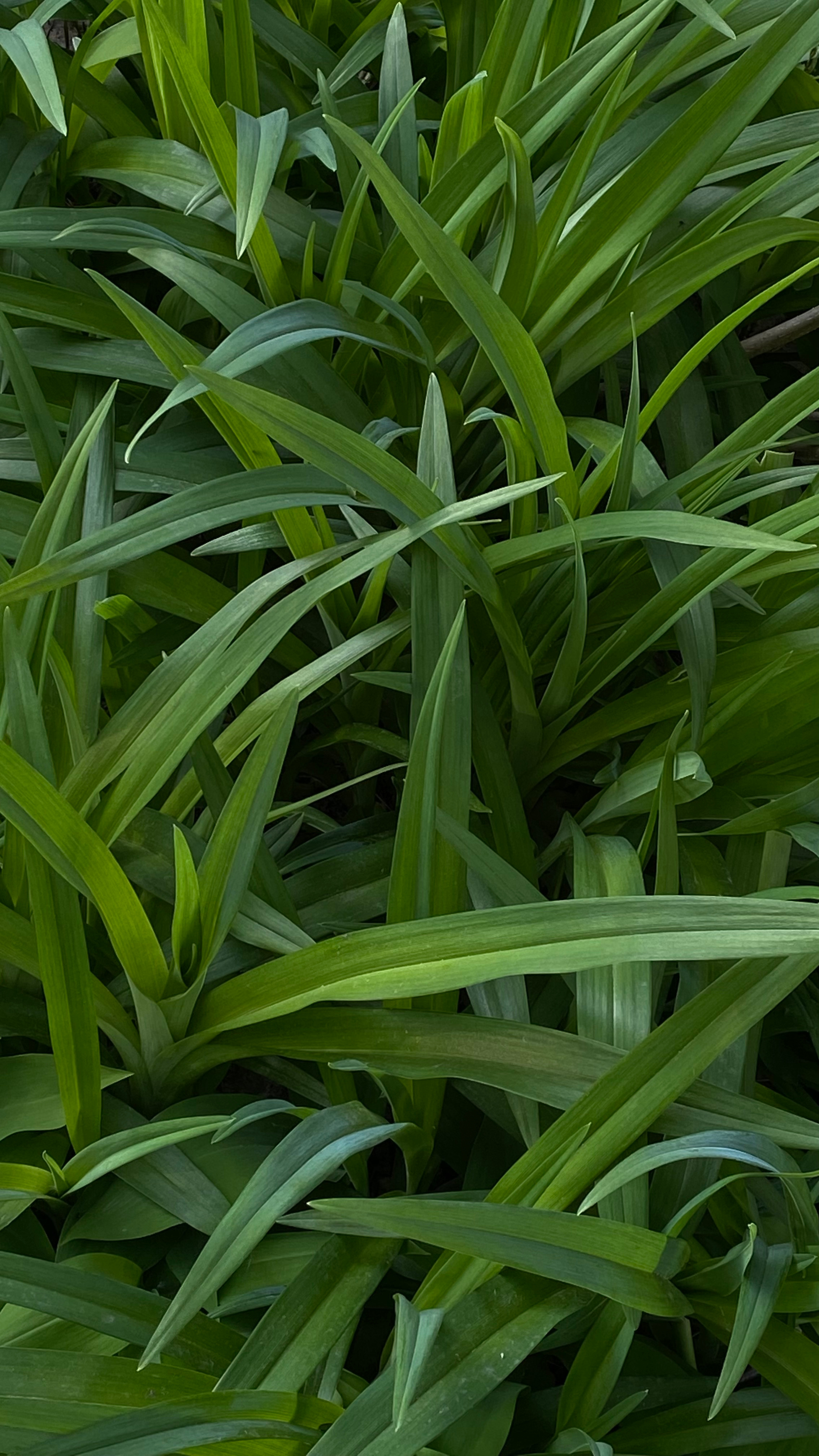 Магия тёмного кадра. Контент-фотограф в Нижнем Новгороде Антошина Ольга