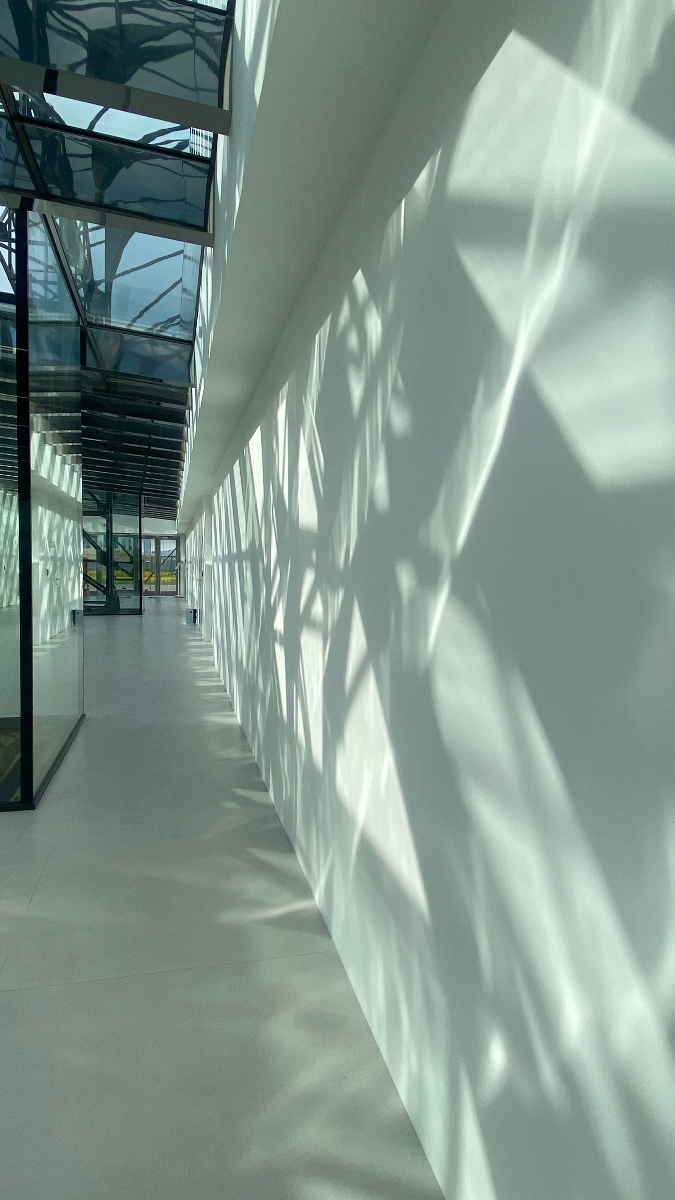 Магия тёмного кадра. Контент-фотограф в Нижнем Новгороде Антошина Ольга