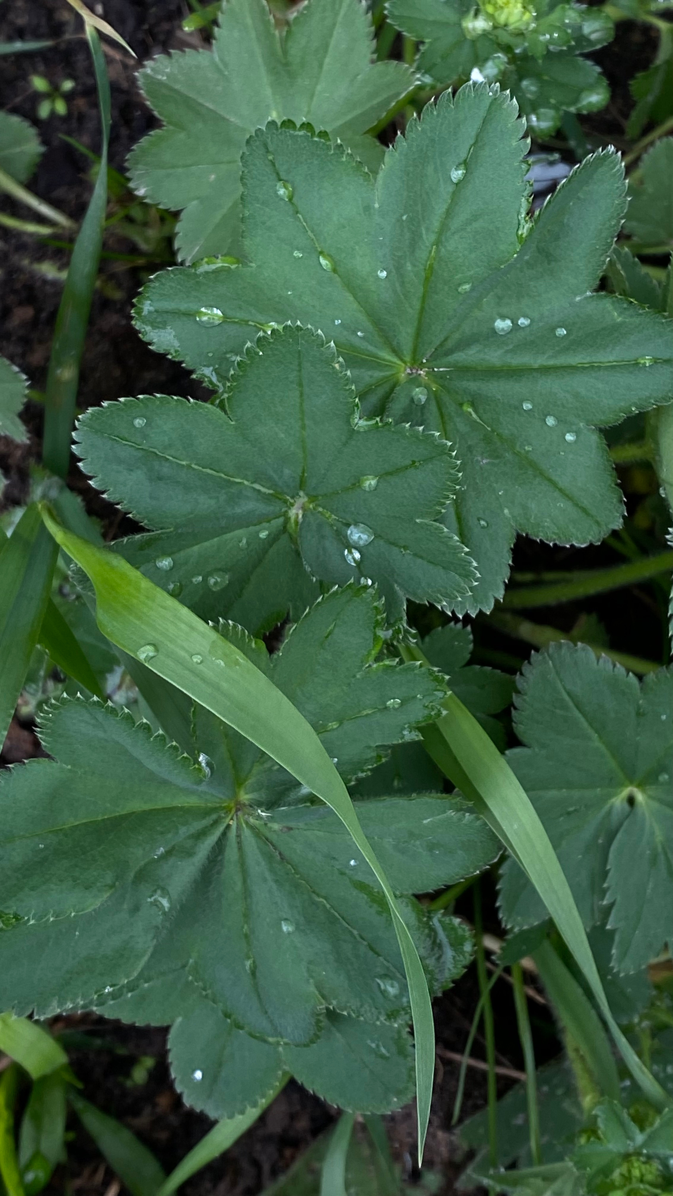 Магия тёмного кадра. Контент-фотограф в Нижнем Новгороде Антошина Ольга