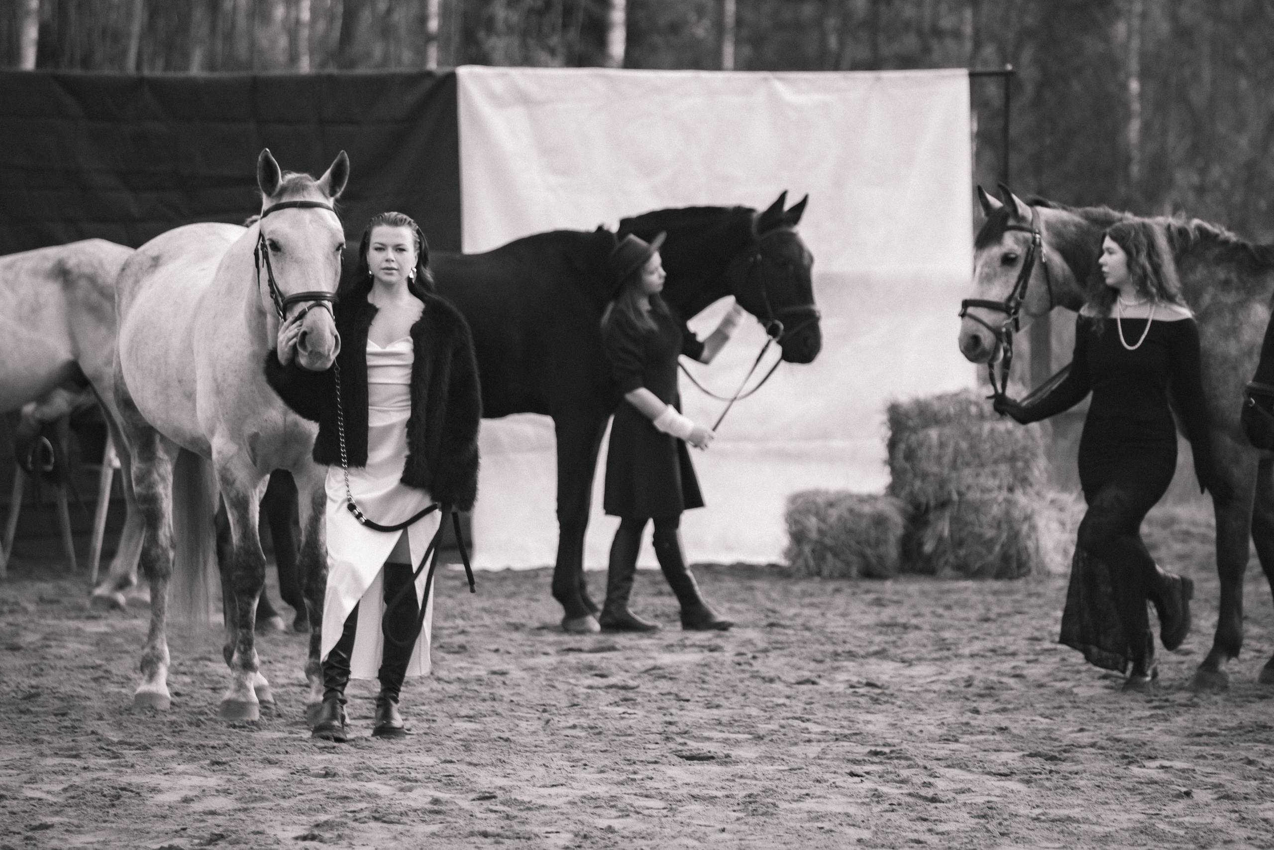 Проект DEFILE. Конный фотограф в Санкт-Петербурге Анна Лебедева