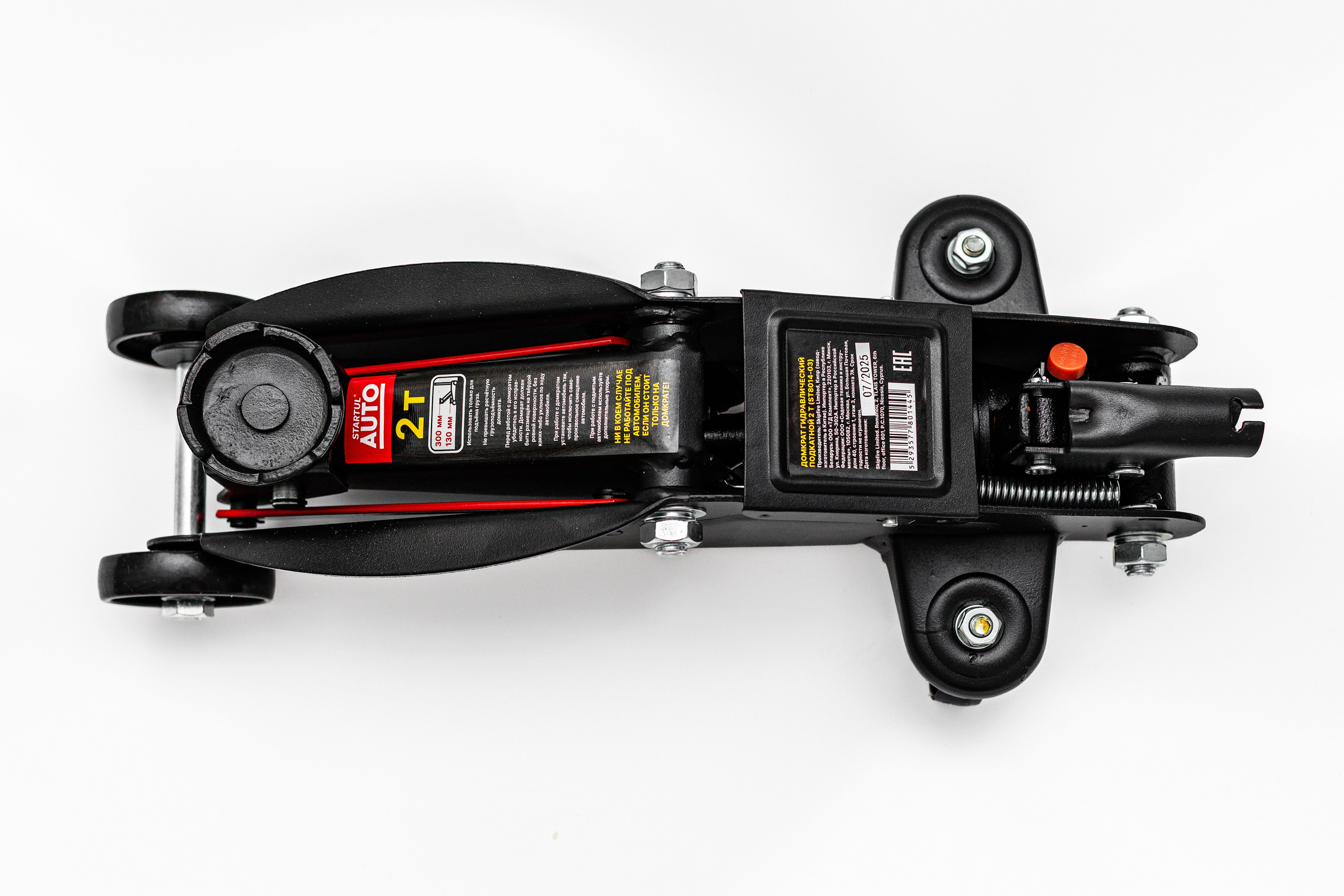 ФОТО. Фотограф Алина Гашникова