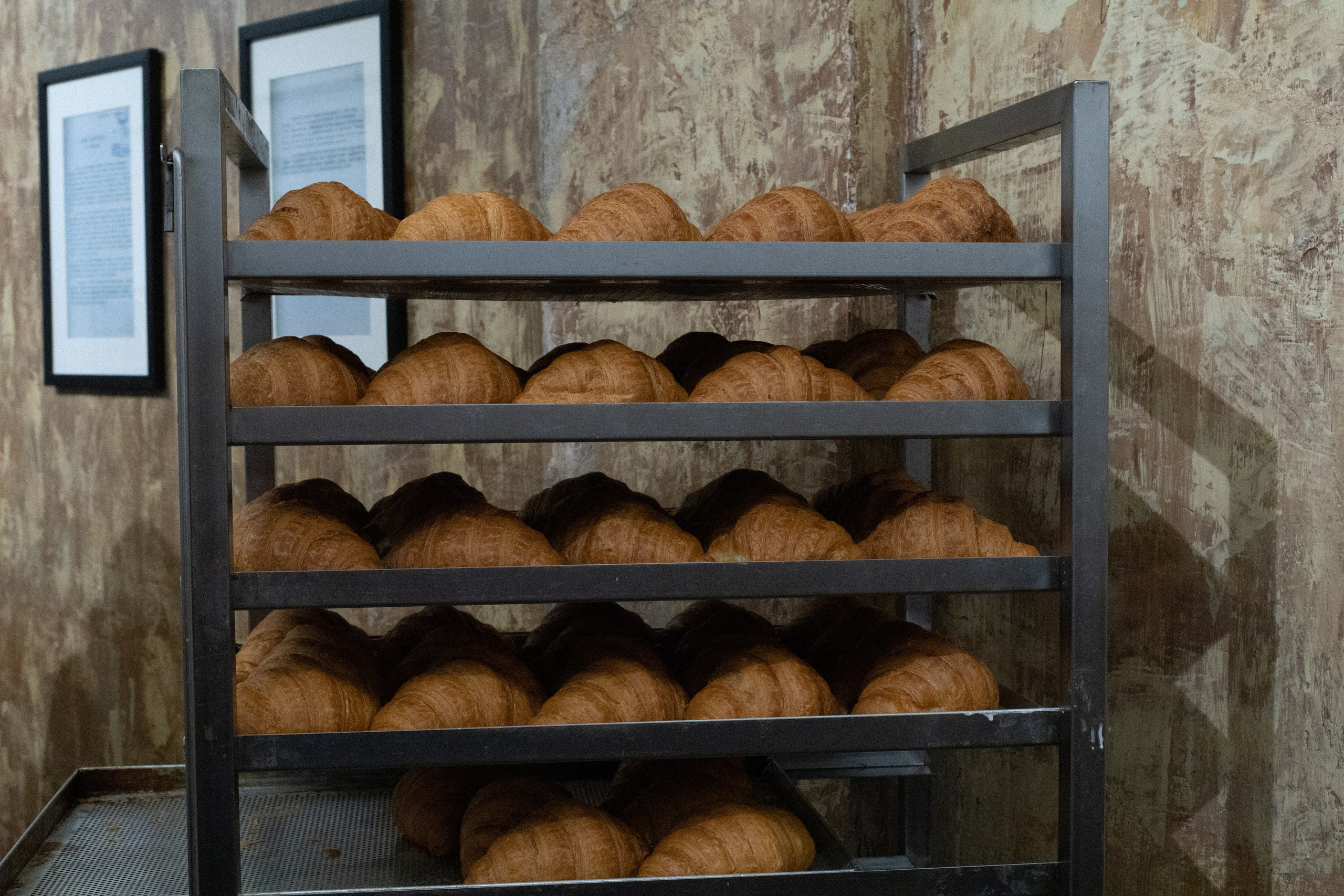 Digital osen. Фотограф Мурманск | Нижний Новгород • Анна Хижняк