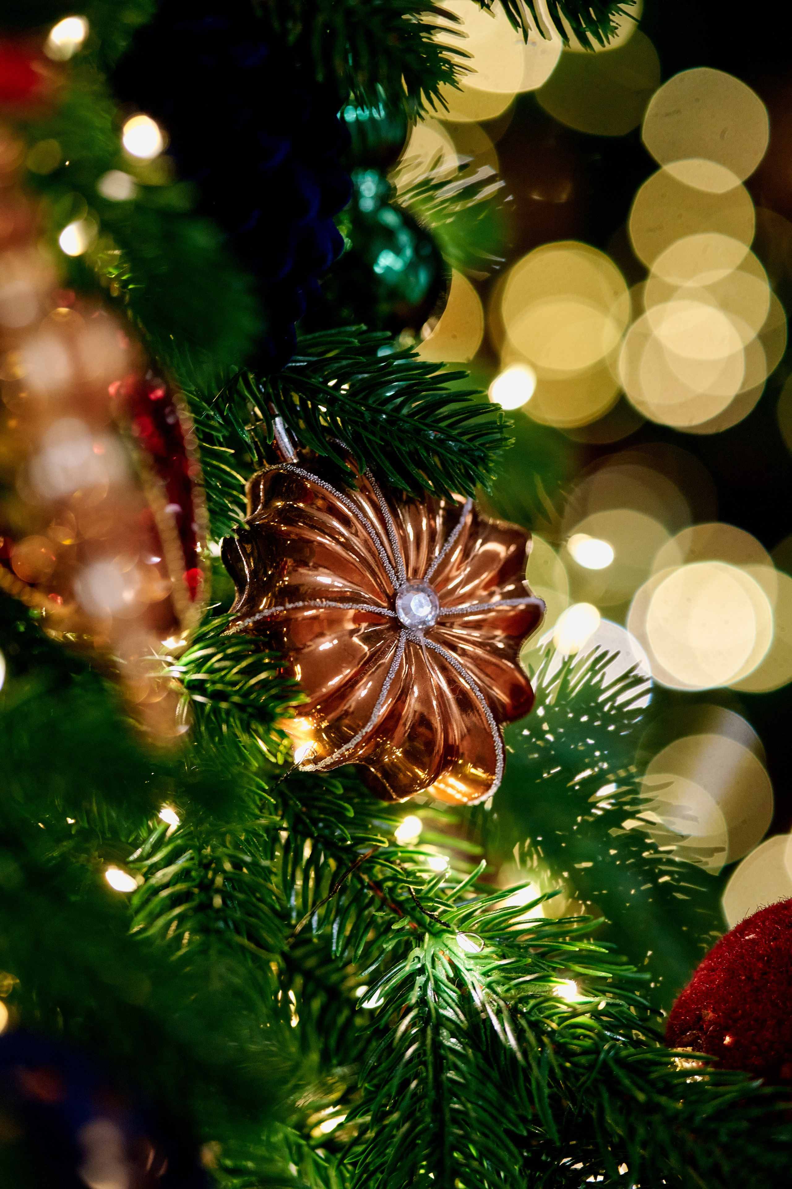 Новогодний декор ресторана Альбатрос. Фотограф Таганрог Анна Трайжон