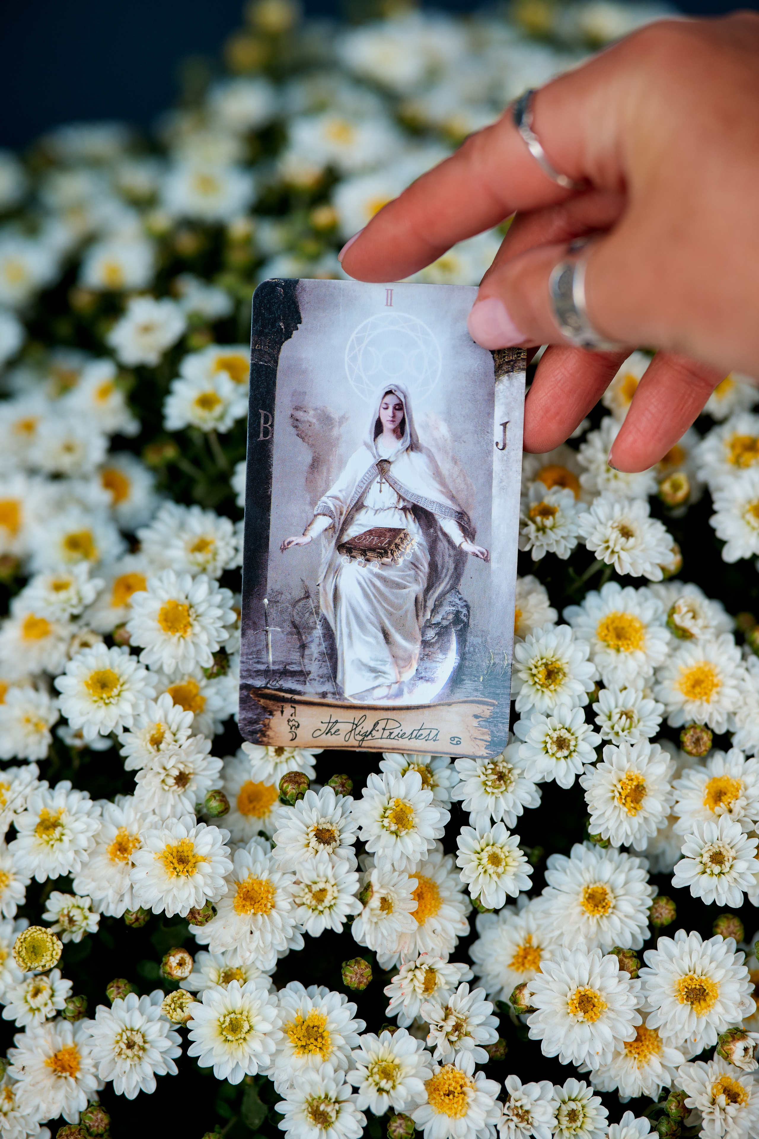 Контент-фотосессия по городу. Инесса. Фотограф Таганрог Анна Трайжон