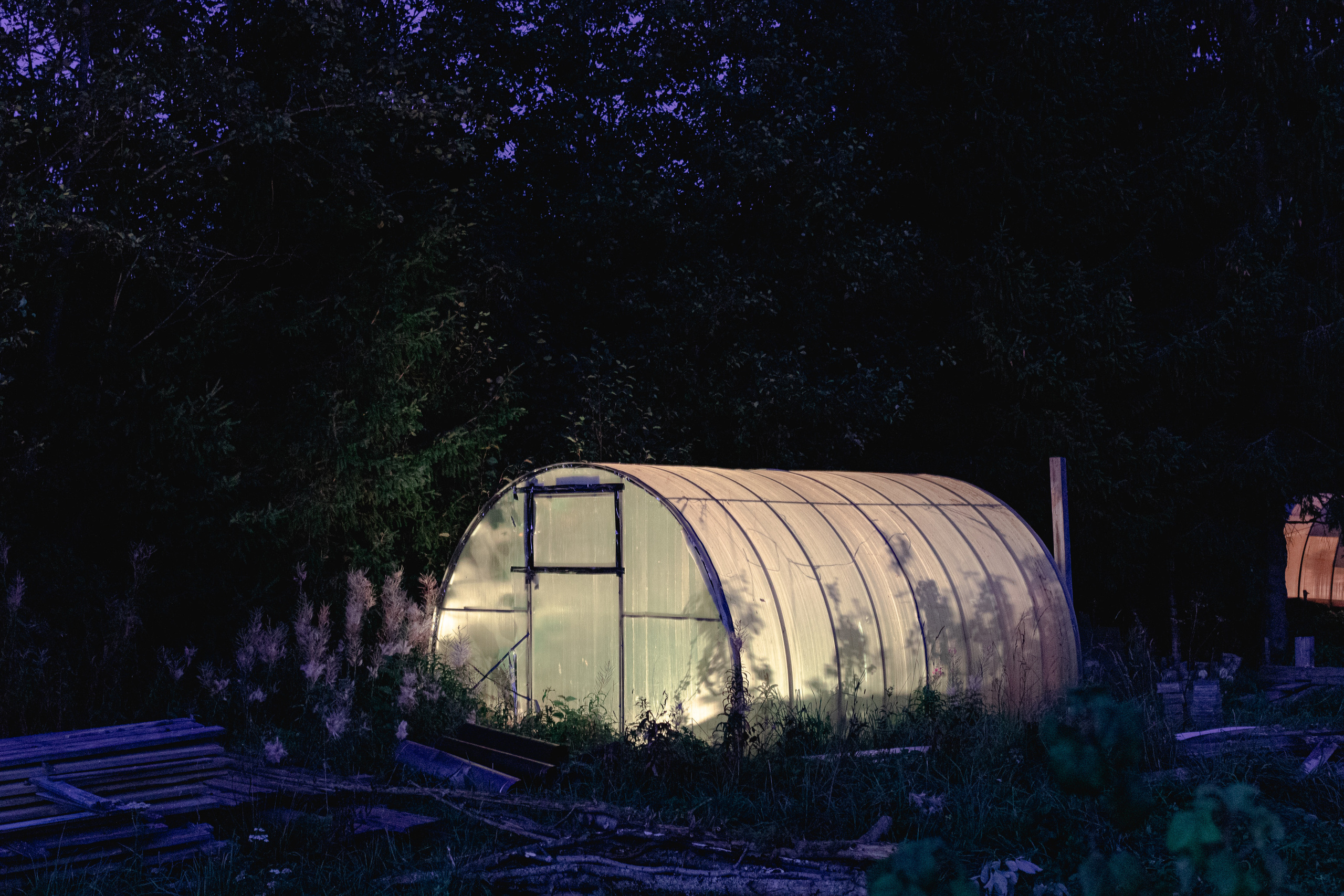 Lapwing land. Katerina Churbakova | Documentary photographer