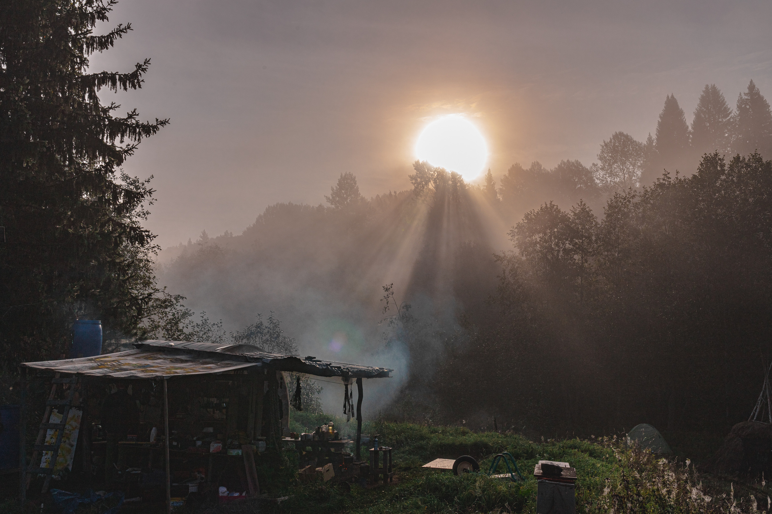 Lapwing land. Katerina Churbakova | Documentary photographer