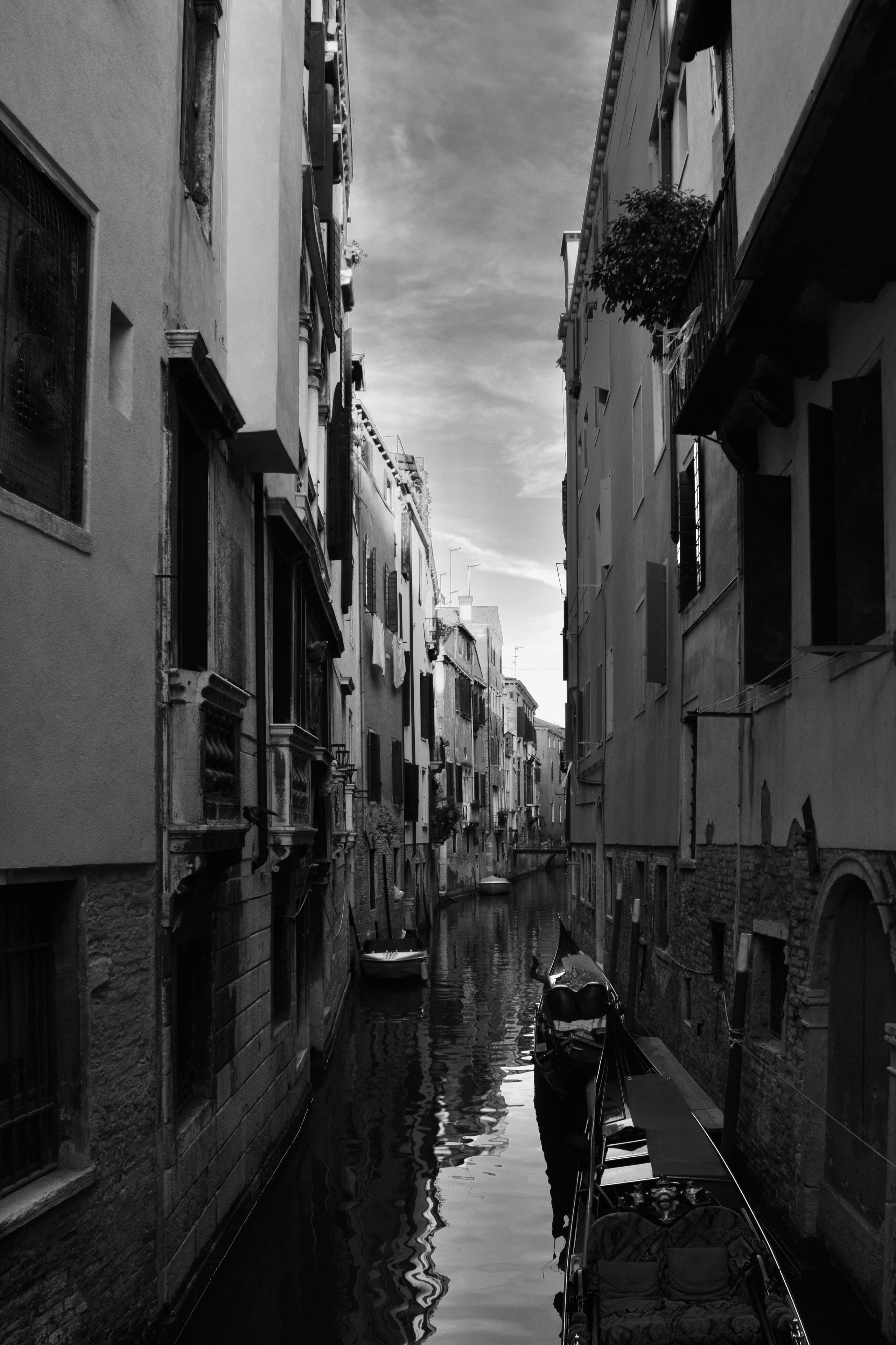 Venezia. Фотограф в Москве