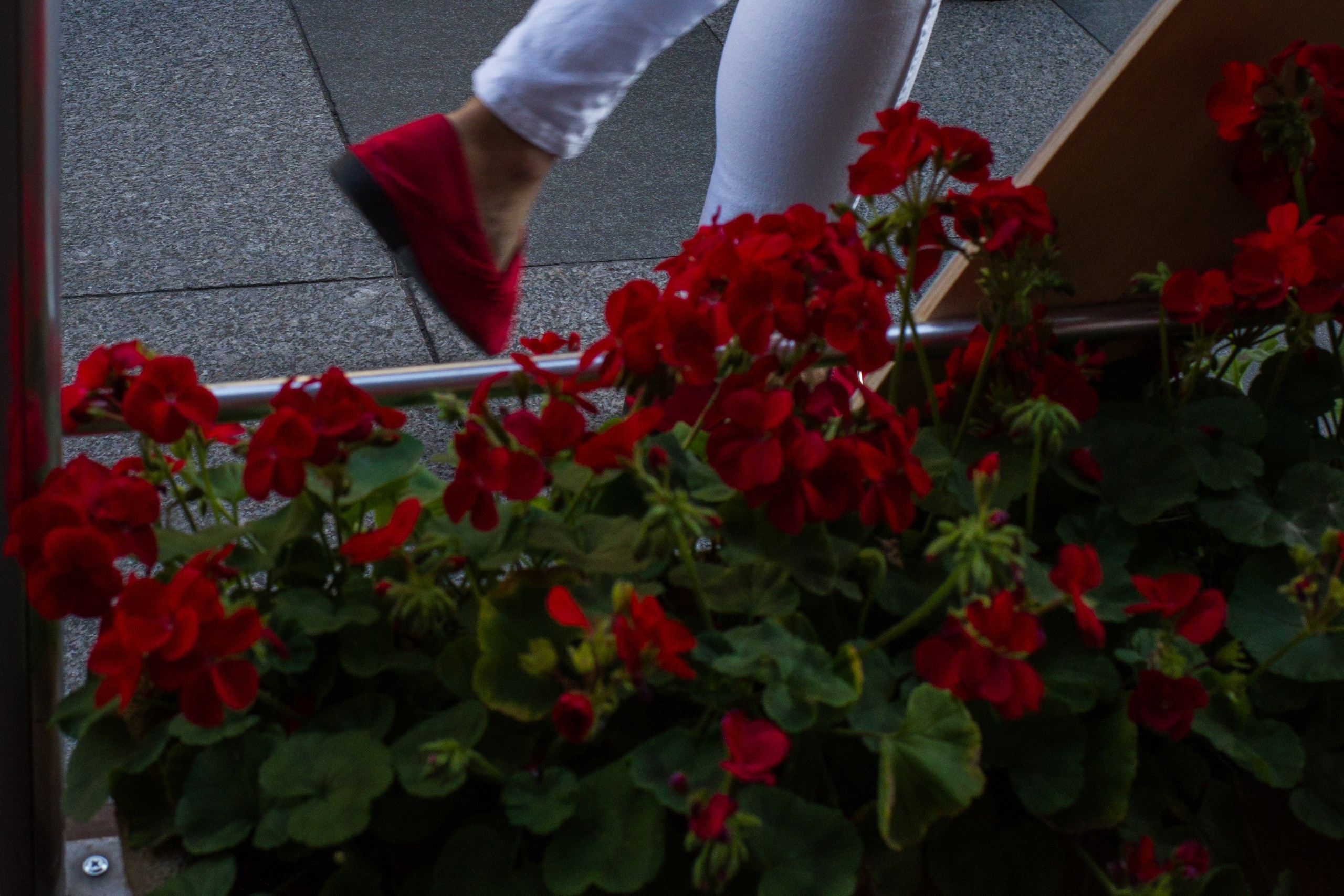 Dimitri Bakhtadze, colour photos. Dimitri Bakhtadze photographer