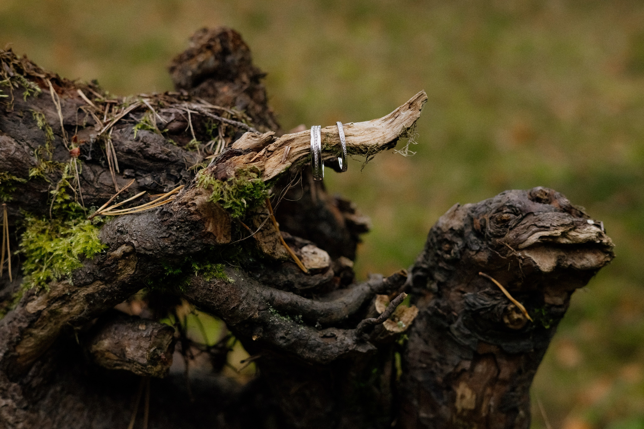 Дом у моря. Свадебный фотограф в Санкт-Петербурге Ксения Кобышева