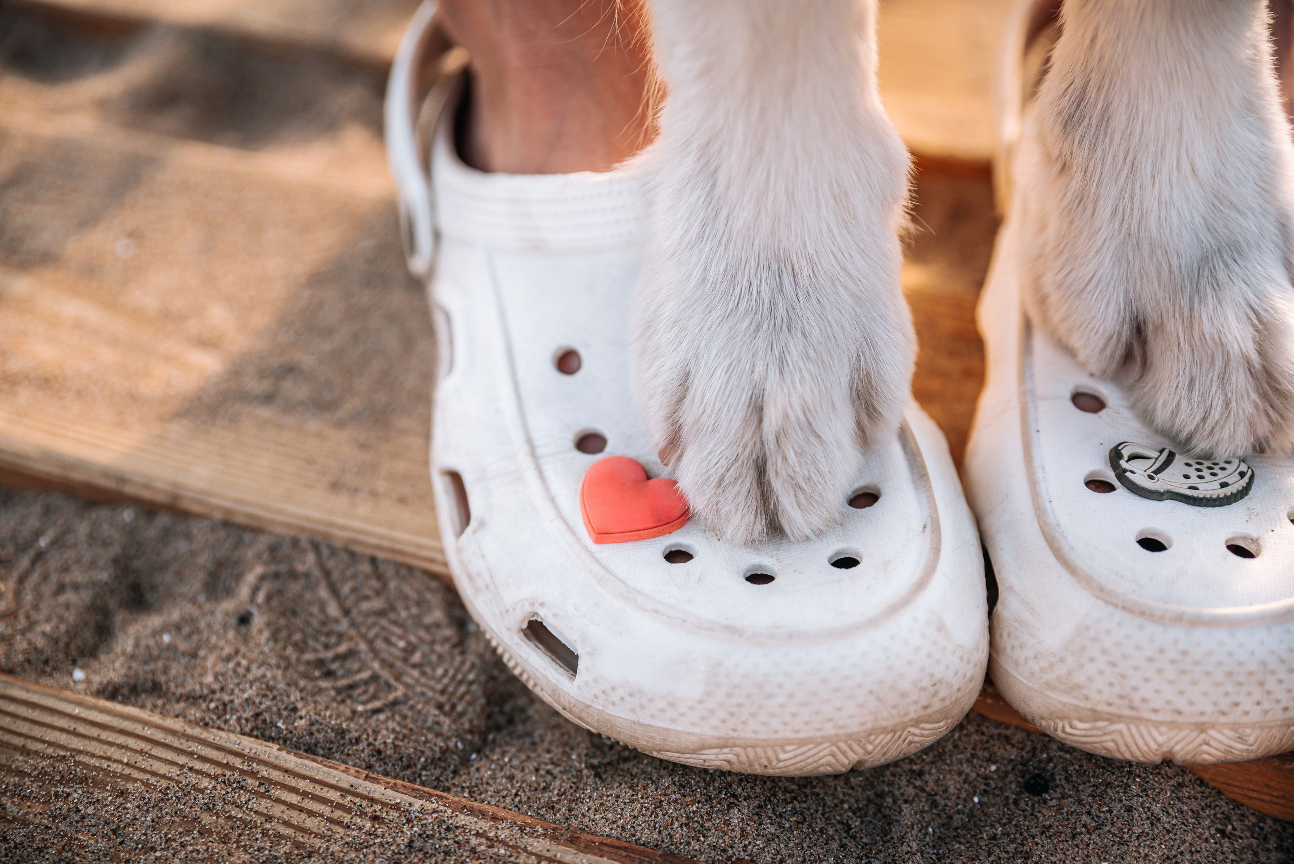 No Bad Days. Главная