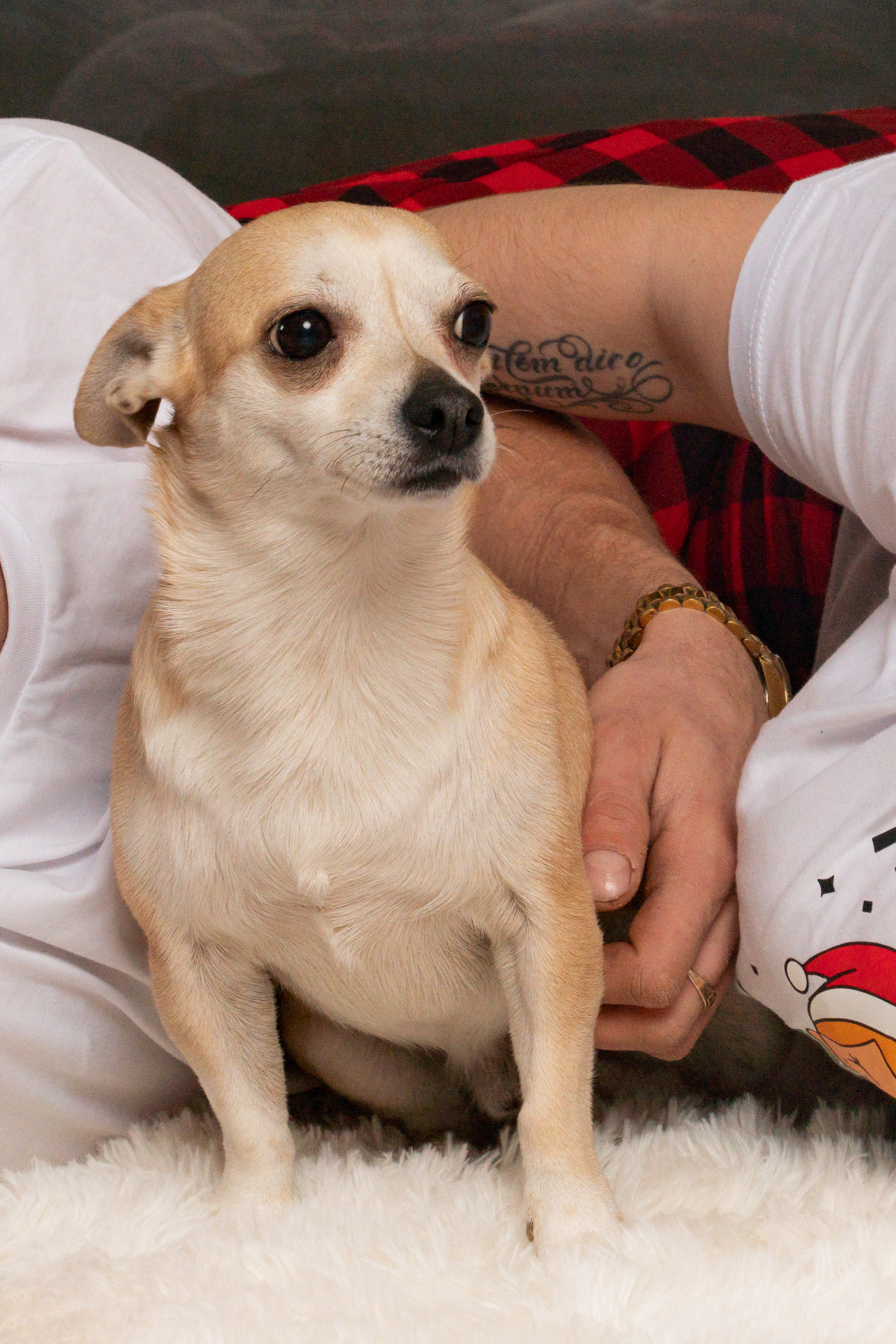 Новогодняя фотосессия в студии