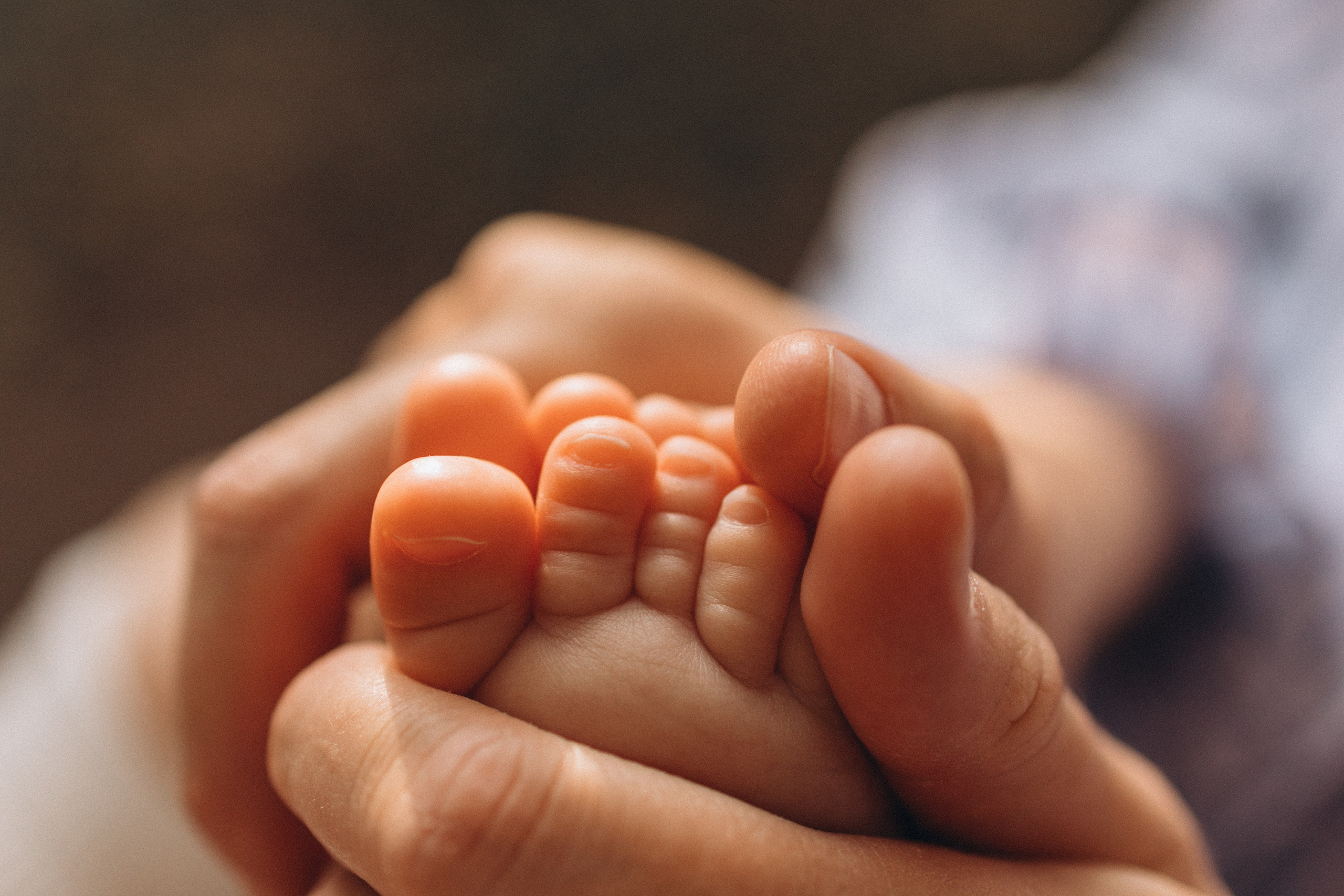 На закате летом. Семейный и женский фотограф в Москве Коновалова Олеся