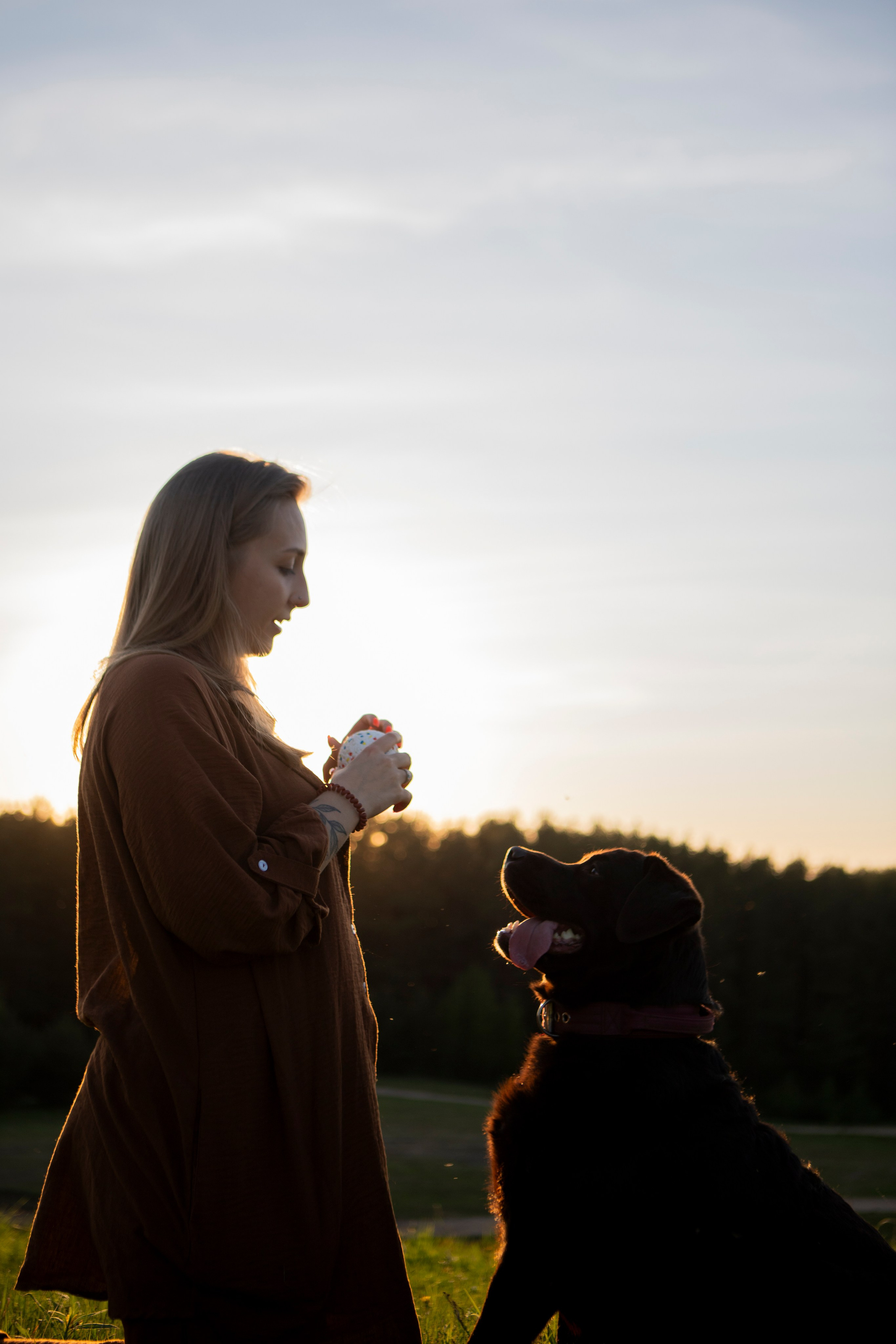 Закатная. Фотограф-анималист в Санкт-Петербурге Алина Яхонт
