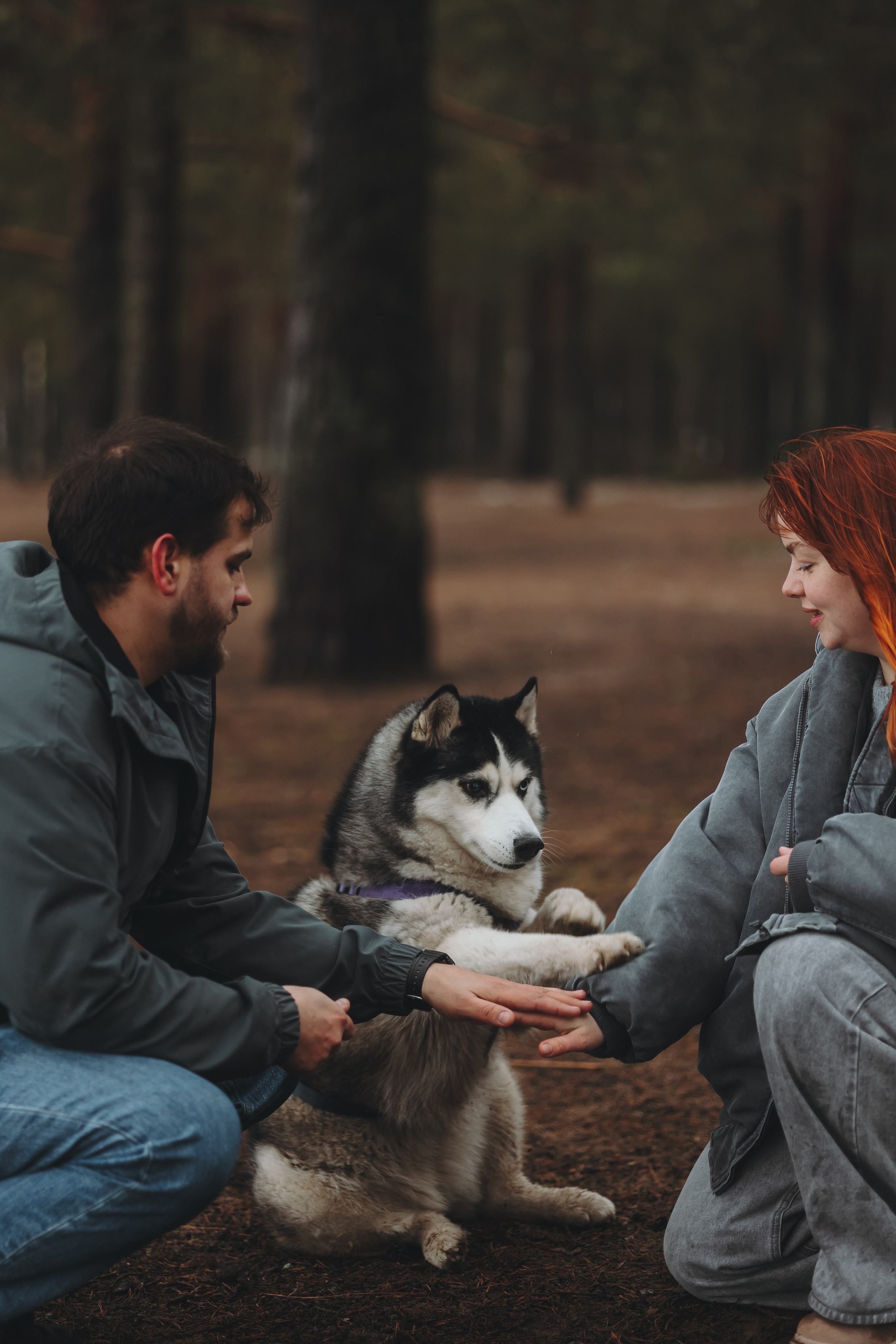 Катя, Илья и Эльза. Фотограф-анималист в Санкт-Петербурге Алина Яхонт