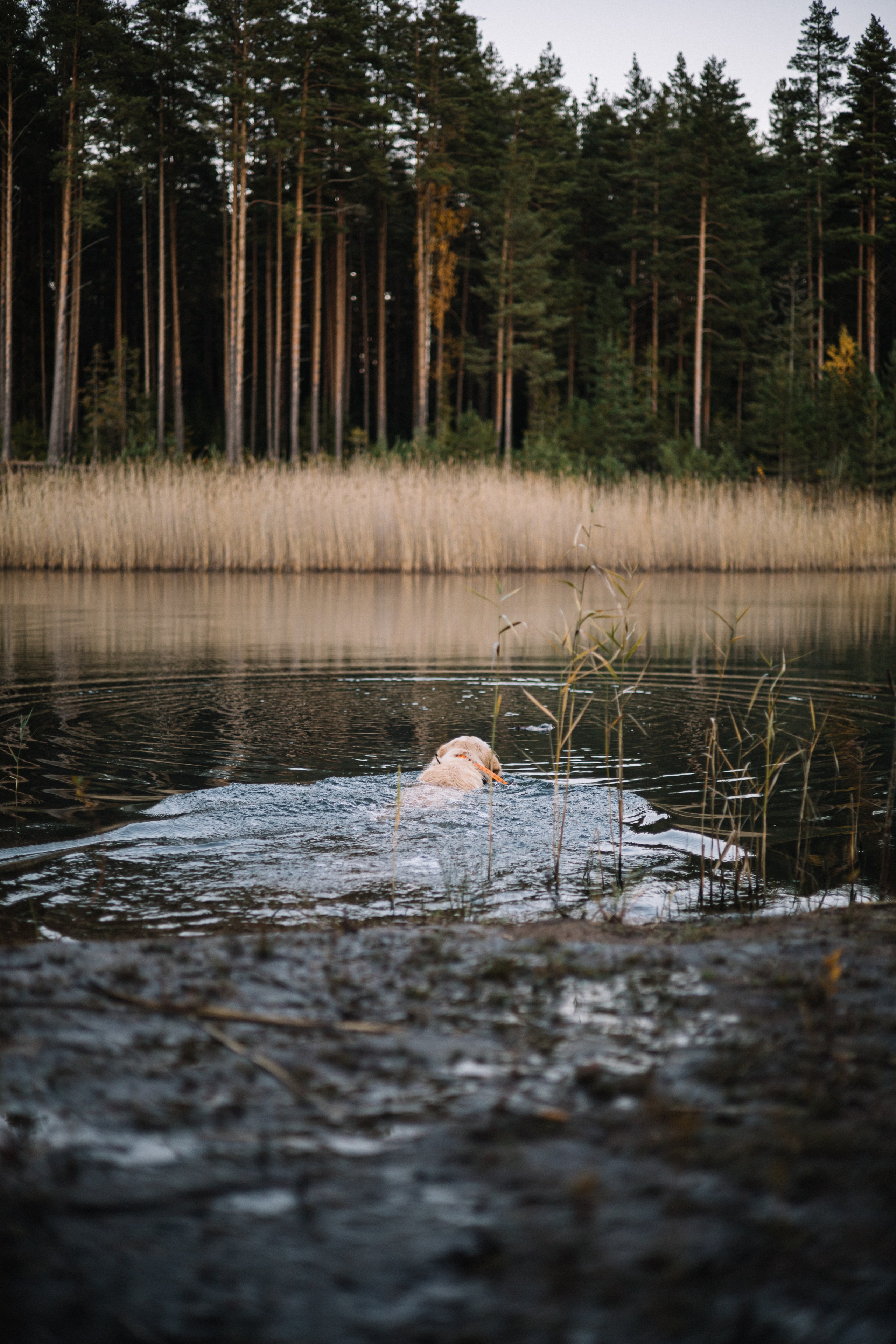 Для охотника