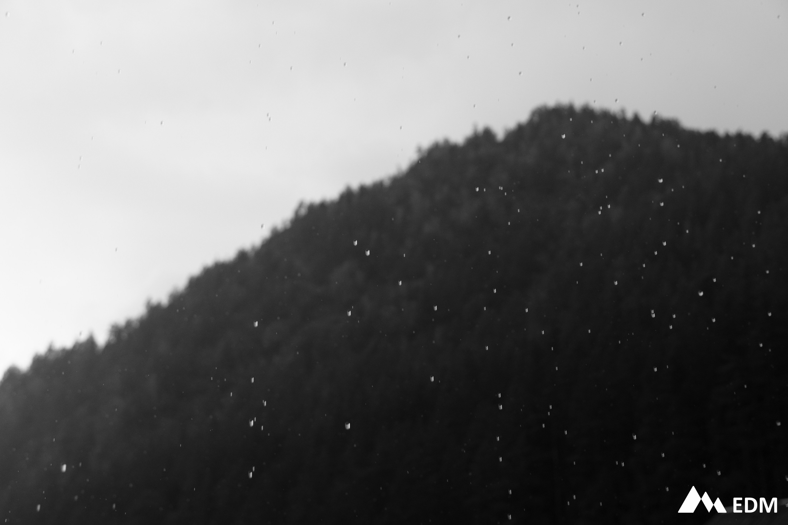 EDM2025. Фотограф Новосибирск Вероника Вишневская