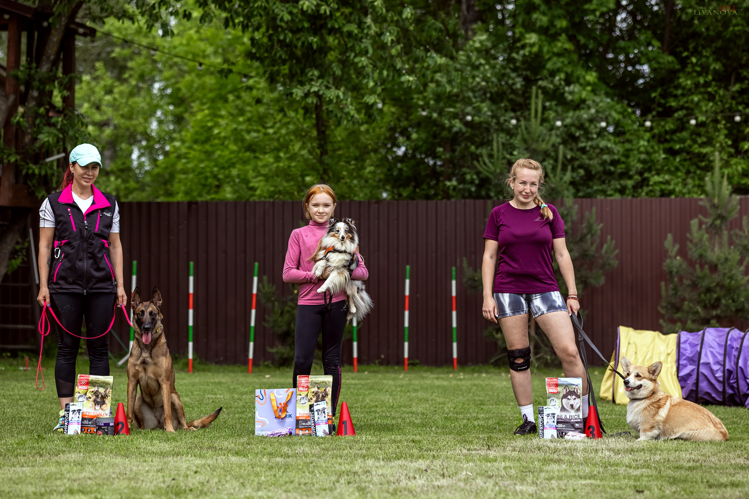 Аджилити Рыбинск. Фотограф анималист Аня Ливанова | Рыбинск