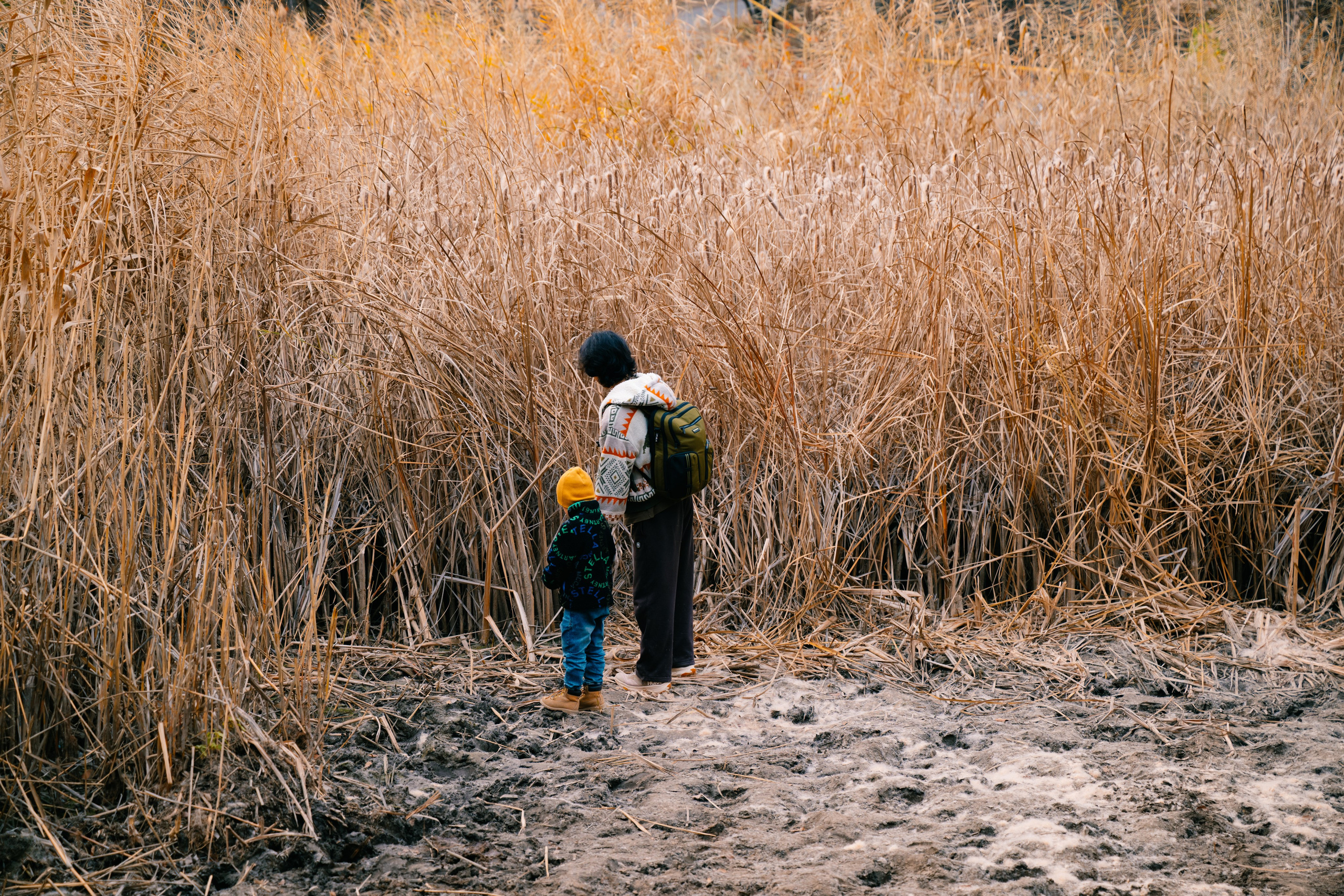 Озеро Иссык, осень 2025. Фотограф в Алматы — Алексей Коньков | Репортаж, свадьбы, портреты
