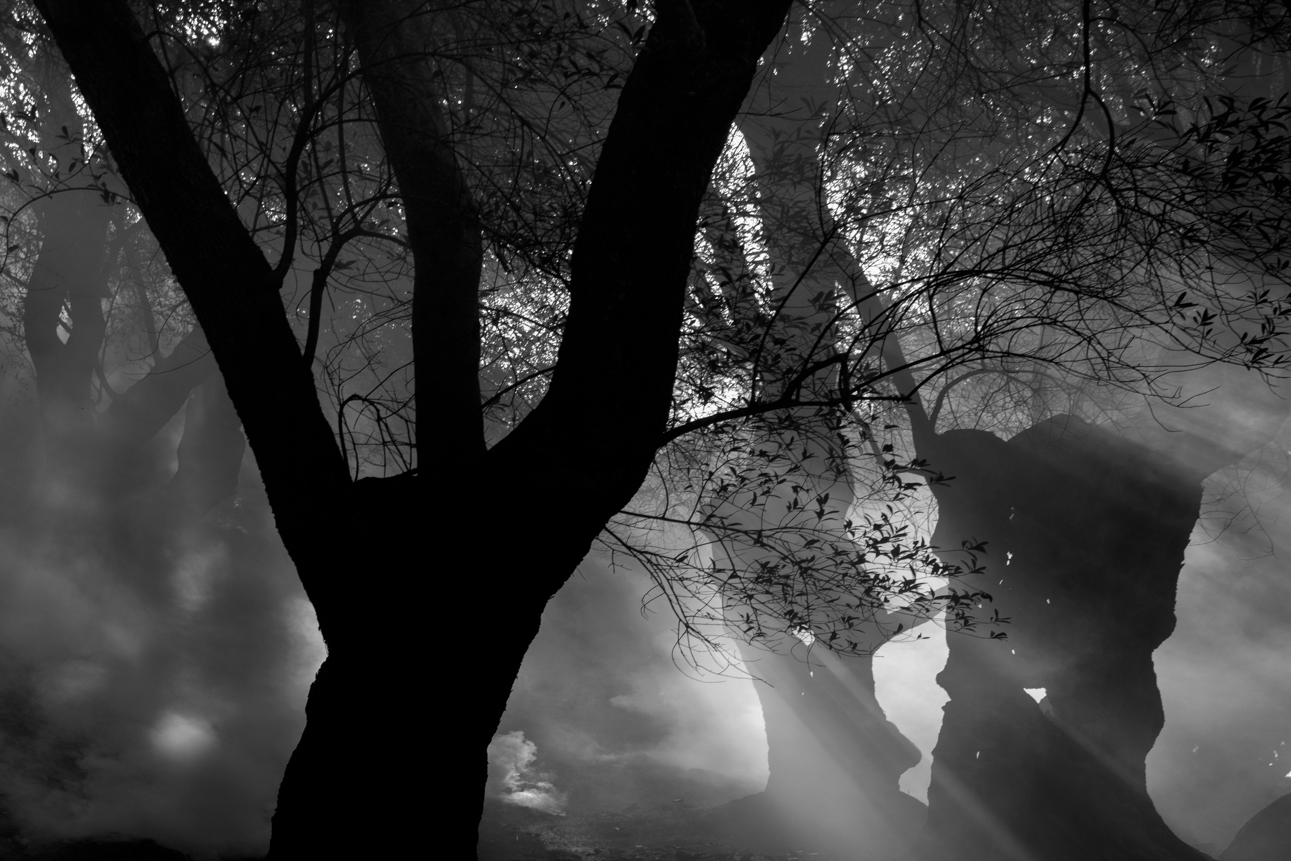 Фото. Фотограф Лагутин Анатолий