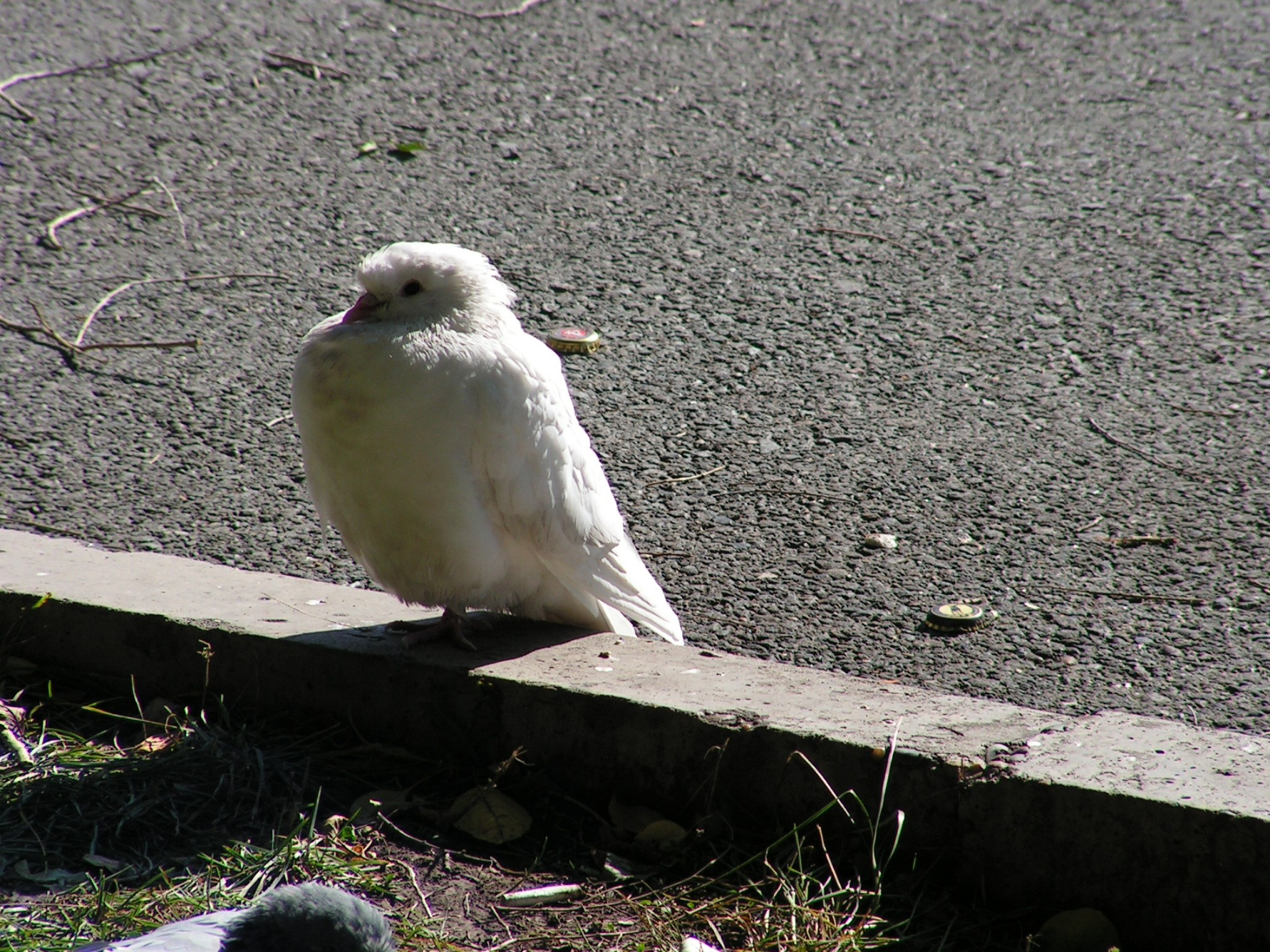 Песочные фигуры с Рускалевы 20.09.2009. Семейный, Свадебный фотограф СПБ Питер— Романова Екатерина