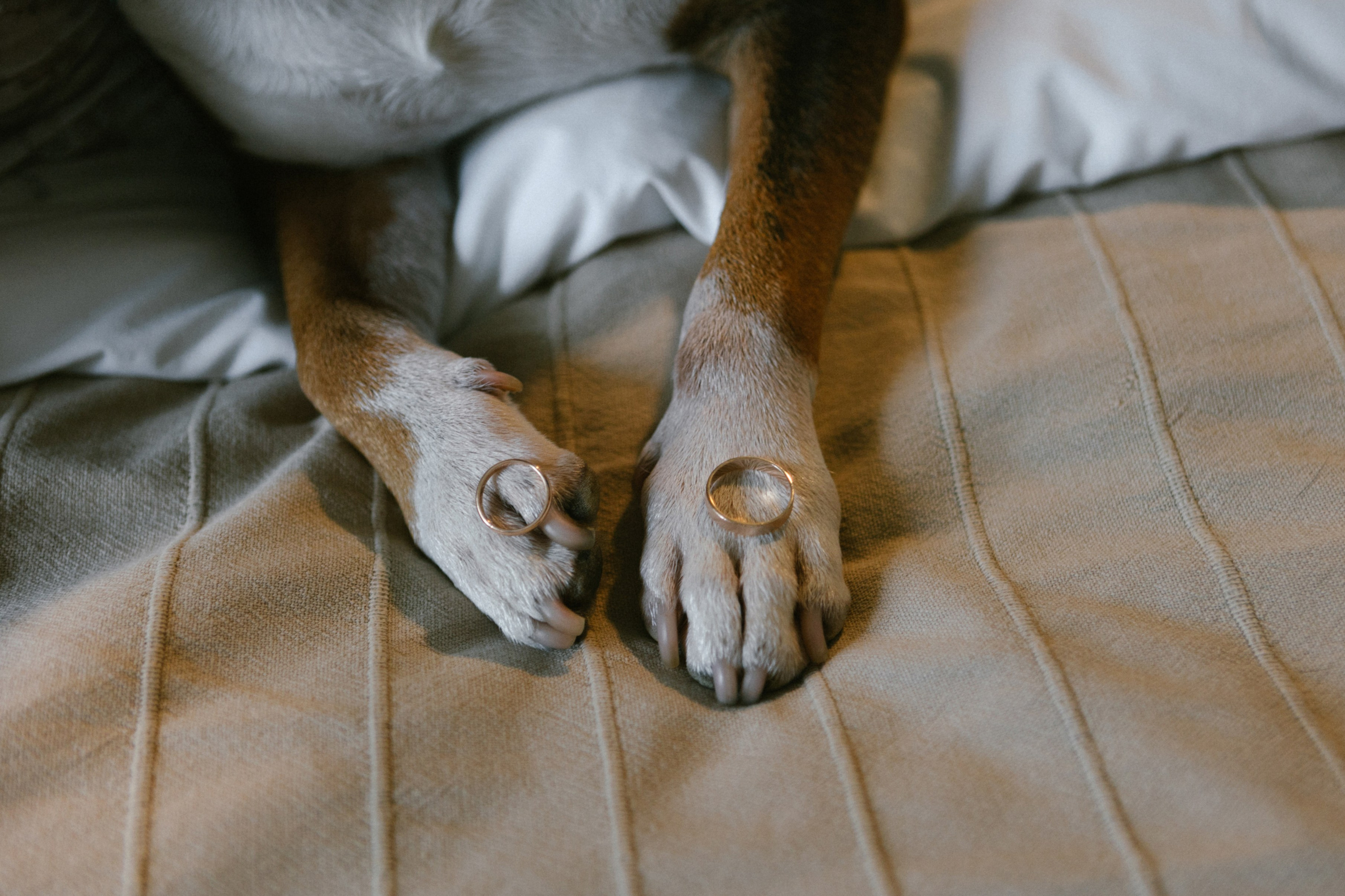 Аня и Сева. Эстетичный свадебный репортаж в любом городе страны