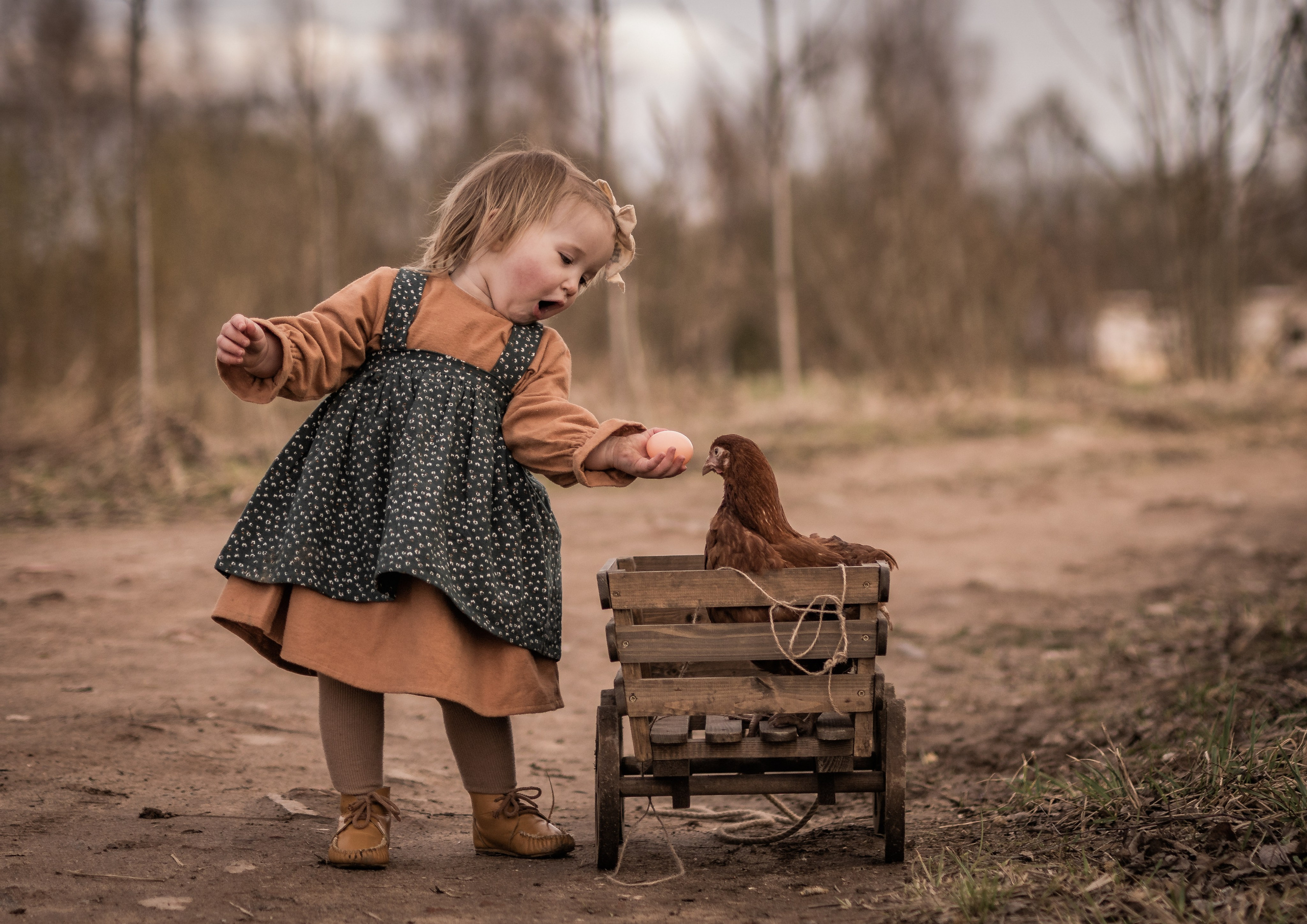 Куриная история. Семейный фотограф Ефремова Виктория