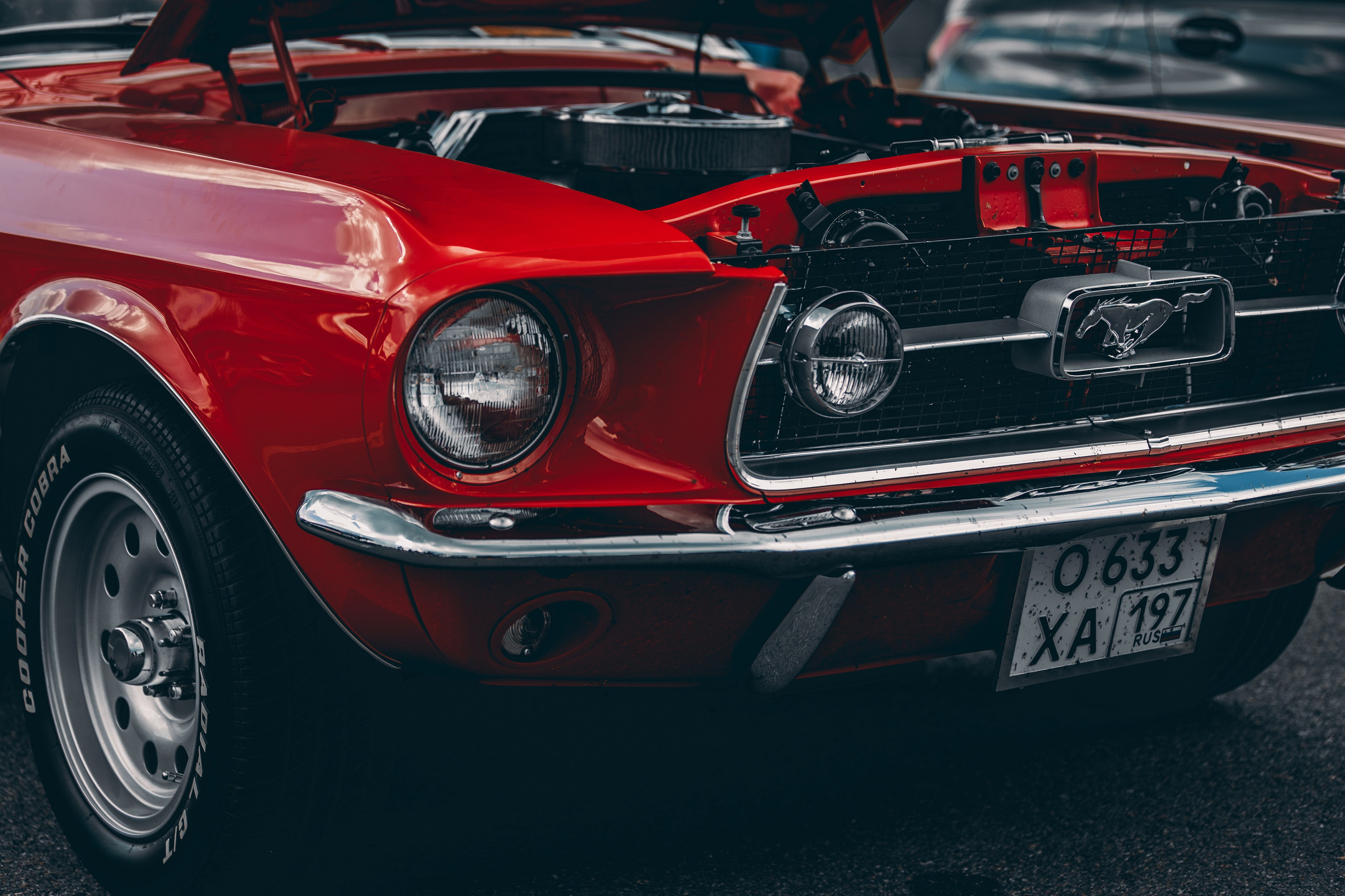 GARAGE FEST Игора Драйв 2025!. Многопрофильный фотограф в Санкт-Петербурге Светлана Вельгас