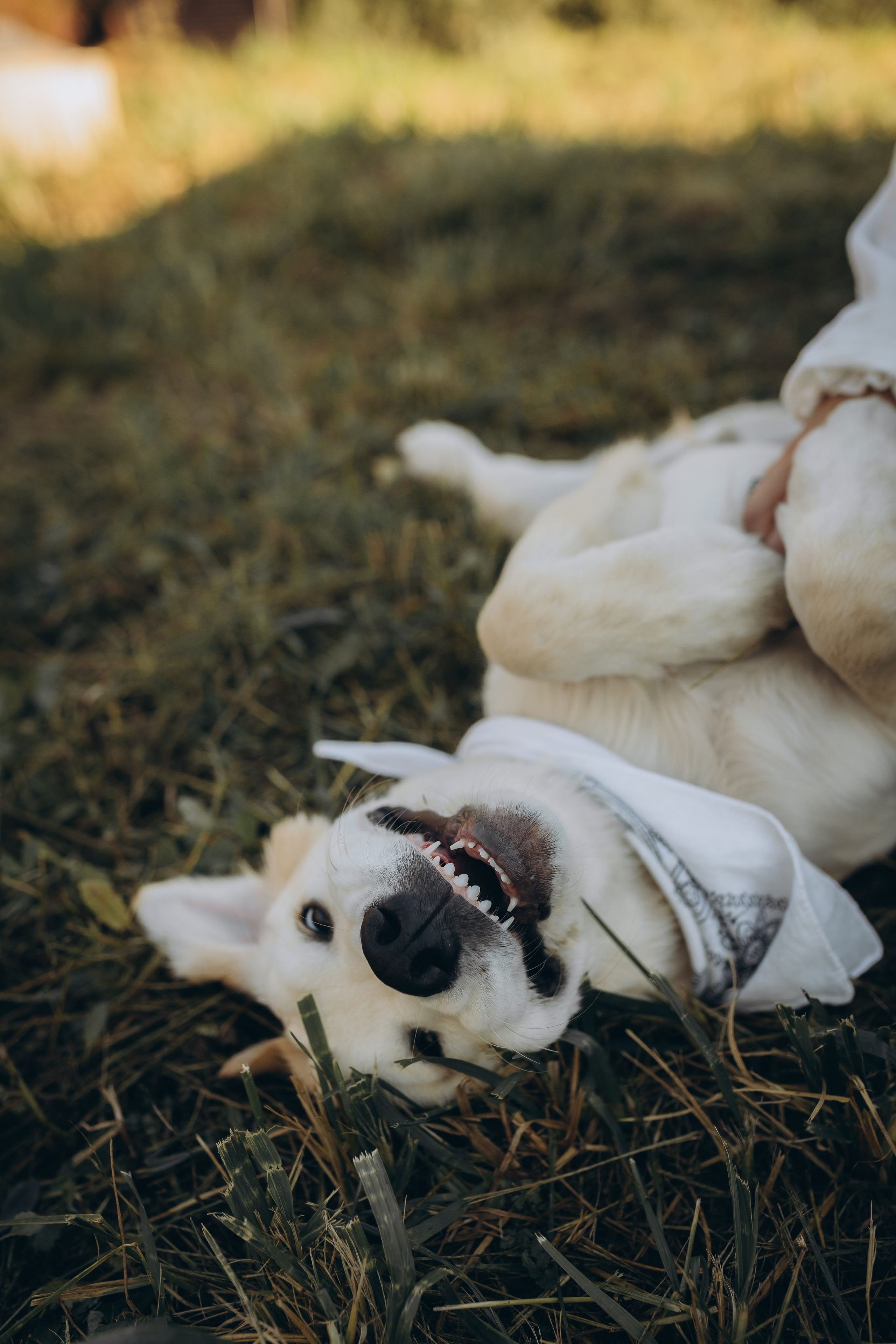 🧡. Ph.nataluuna ФОТОГРАФ СЕРГИЕВ ПОСАД