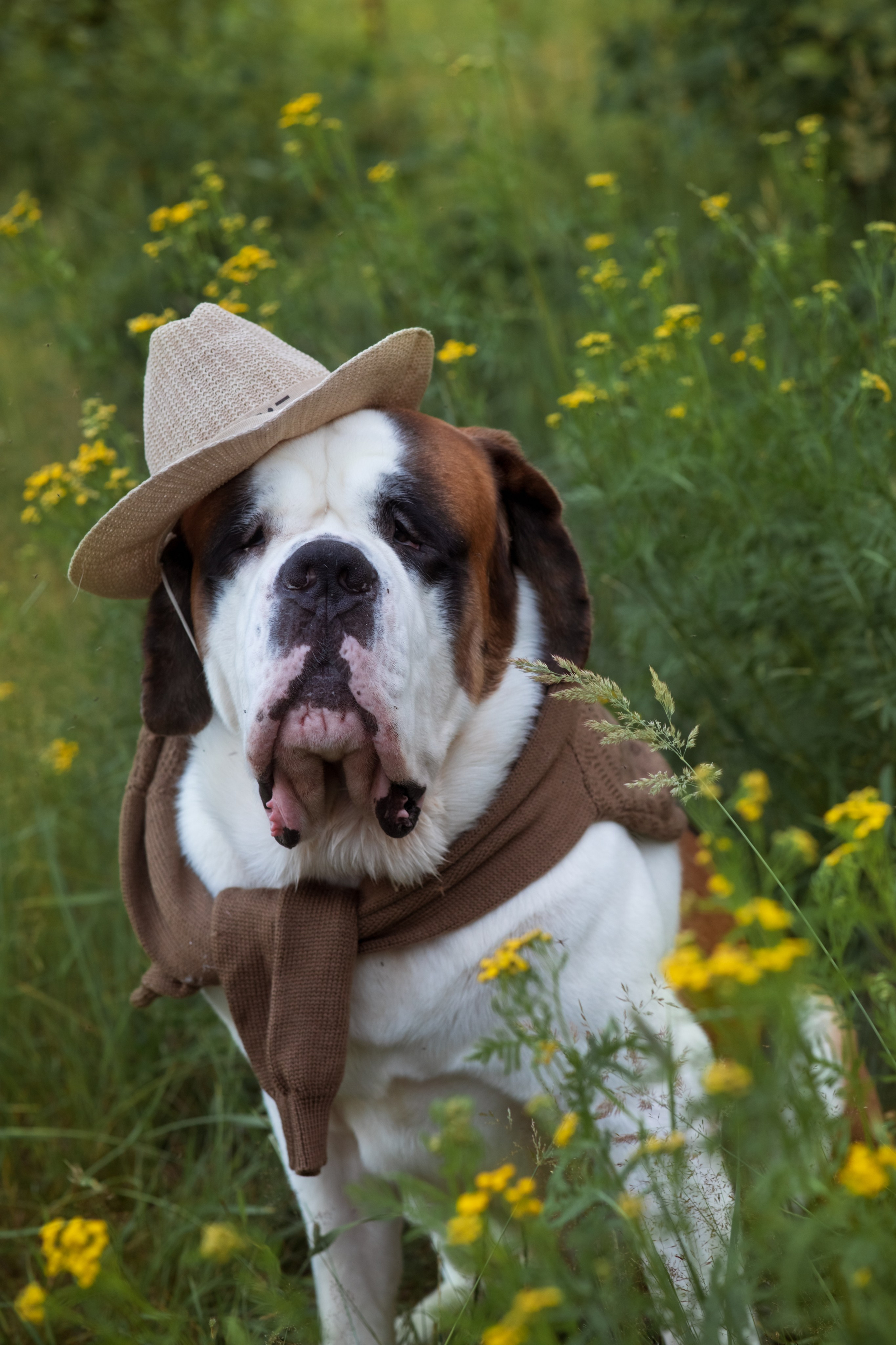 УЛИЦА/ ПРИРОДА