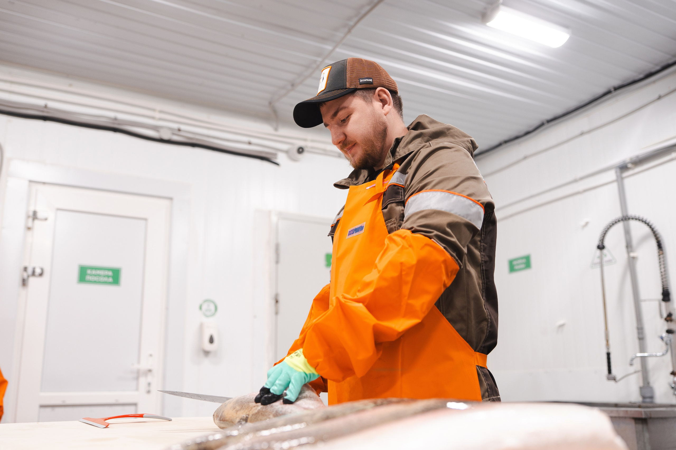 Амурро. Фотограф Хабаровск