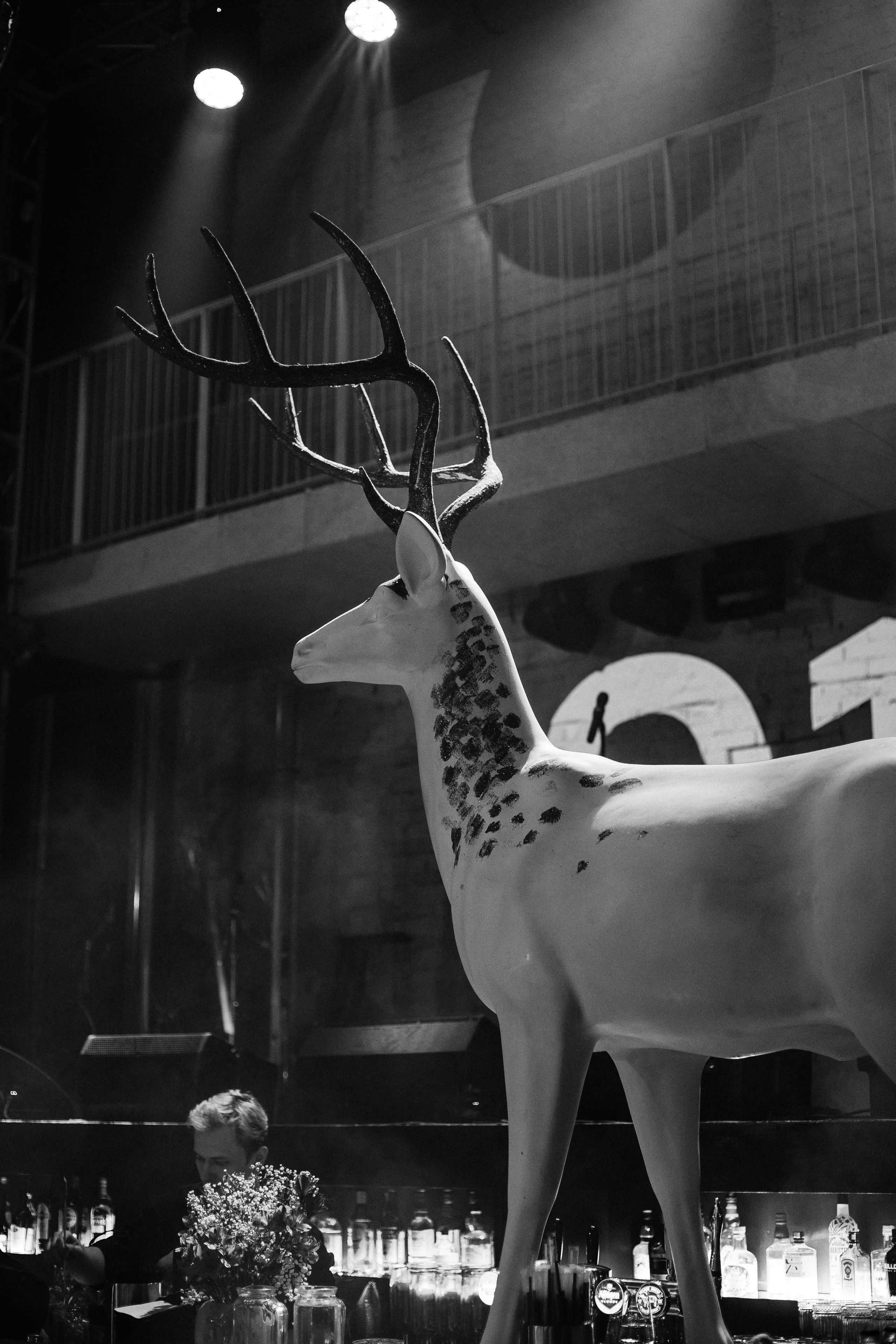 Ресторану ЭХО 10 ЛЕТ. СВОИ. ФОТООТЧЕТЫ-СОБЫТИЯ-МЕСТА