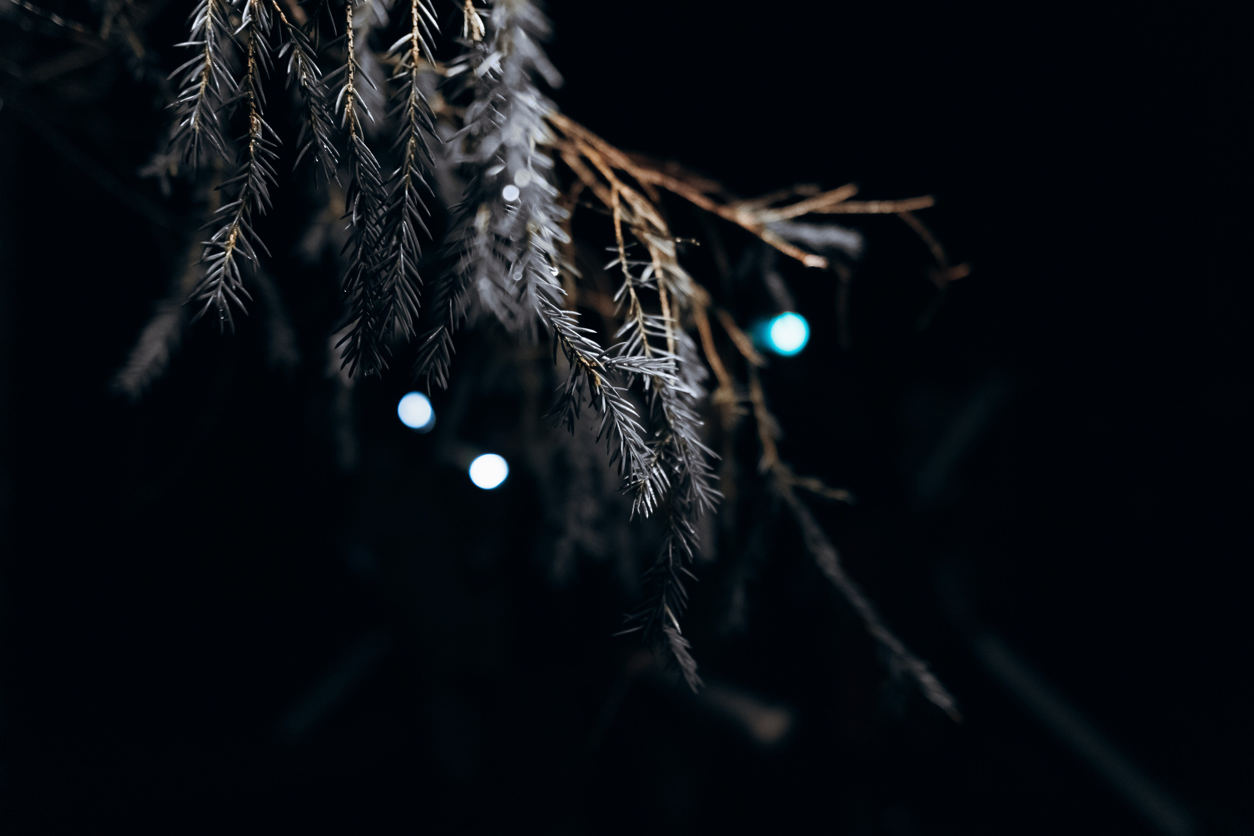 Стражи Огня: «Туманный Альбион» | Грани Миров. Фотограф Аннё| Москва