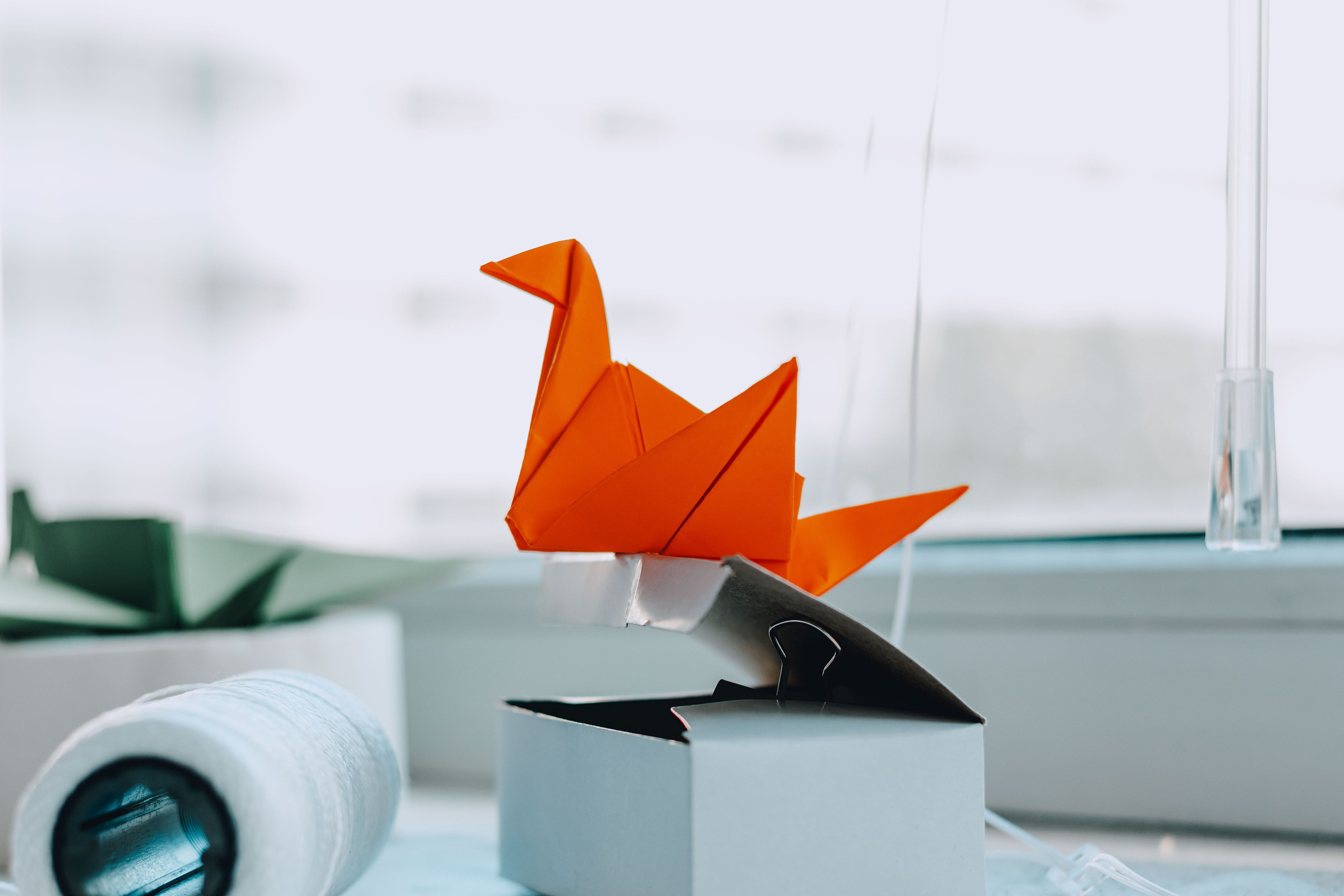 На крыльях танца | Кат Ши. Фотограф Аннё| Москва