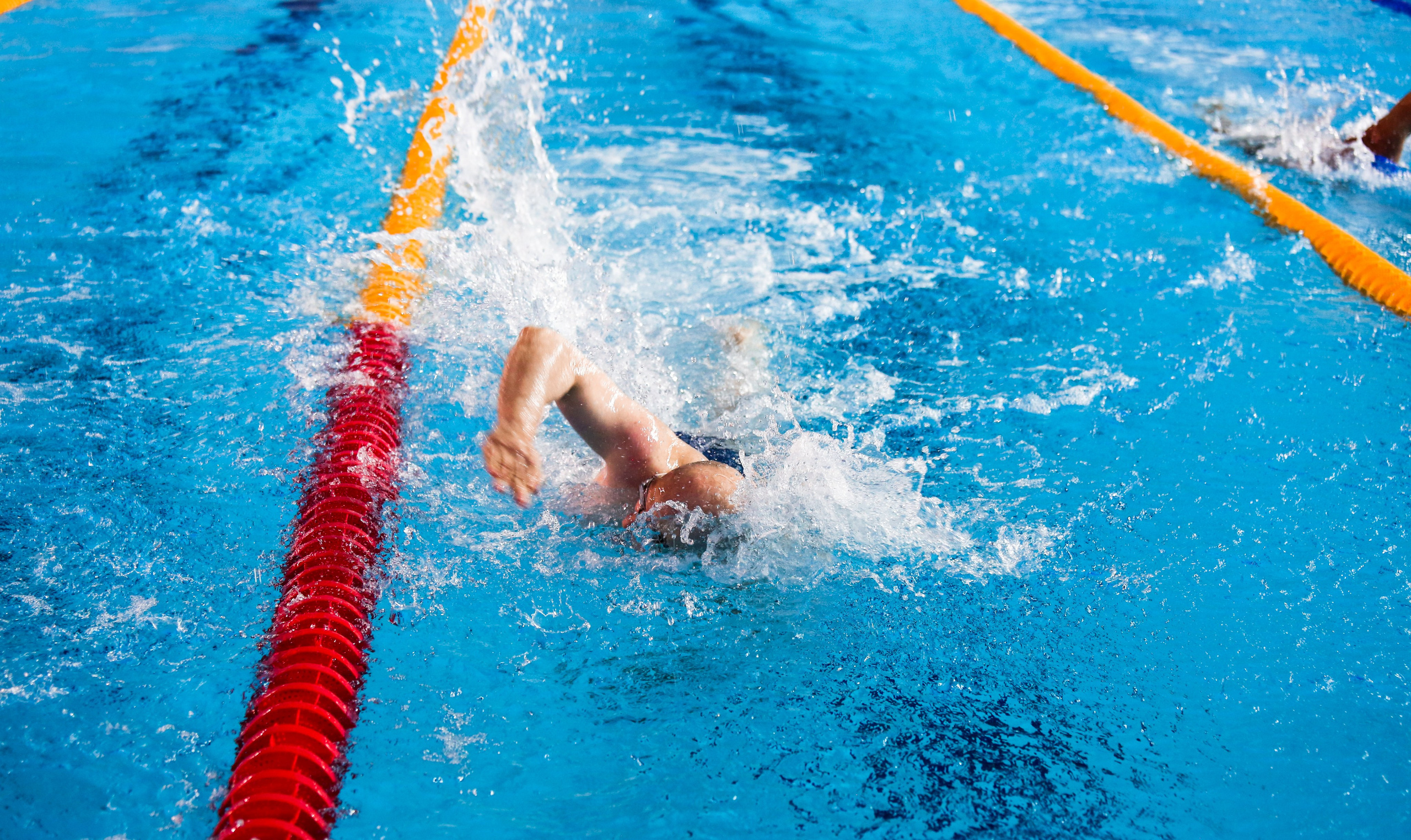 Соревнования по плаванию. Репортажный, семейный, свадебный, портретный фотограф