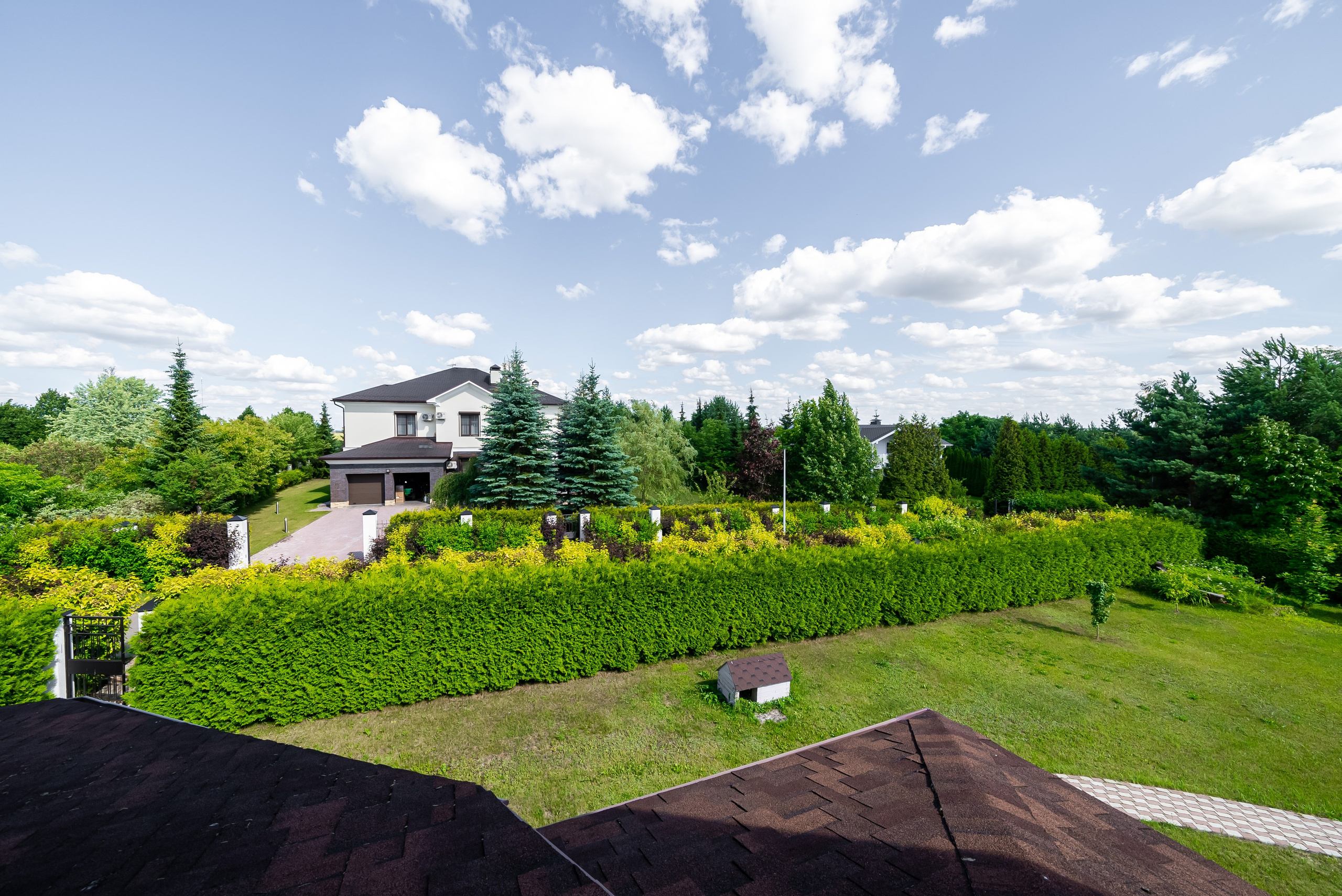 СНОВИДОВО. Фото и видео-съемка Андраник Хачатурян