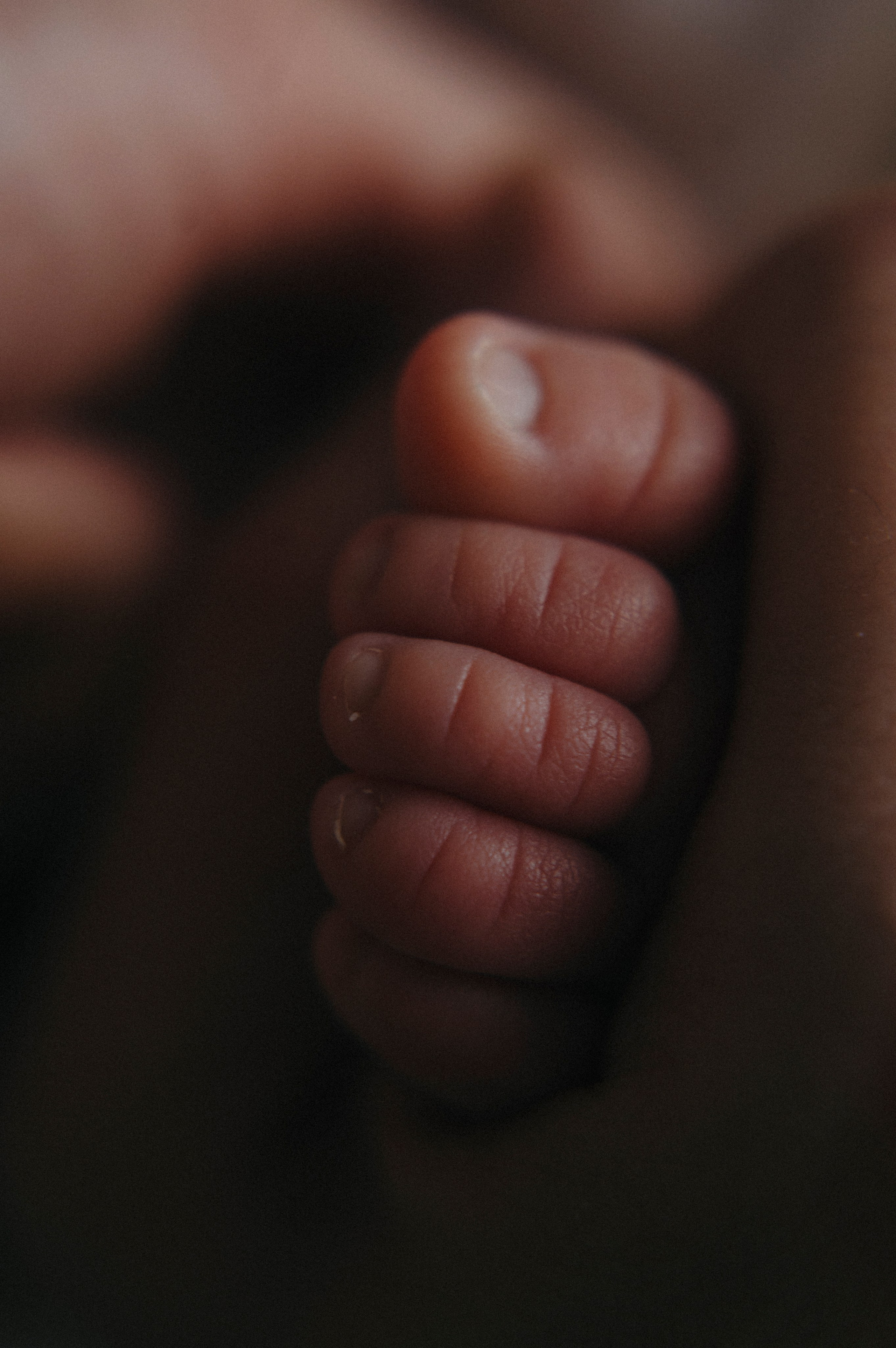 Два сыночка и лапочка дочка. Фотограф новорожденных и беременых в санкт-петербурге Юля Лампа