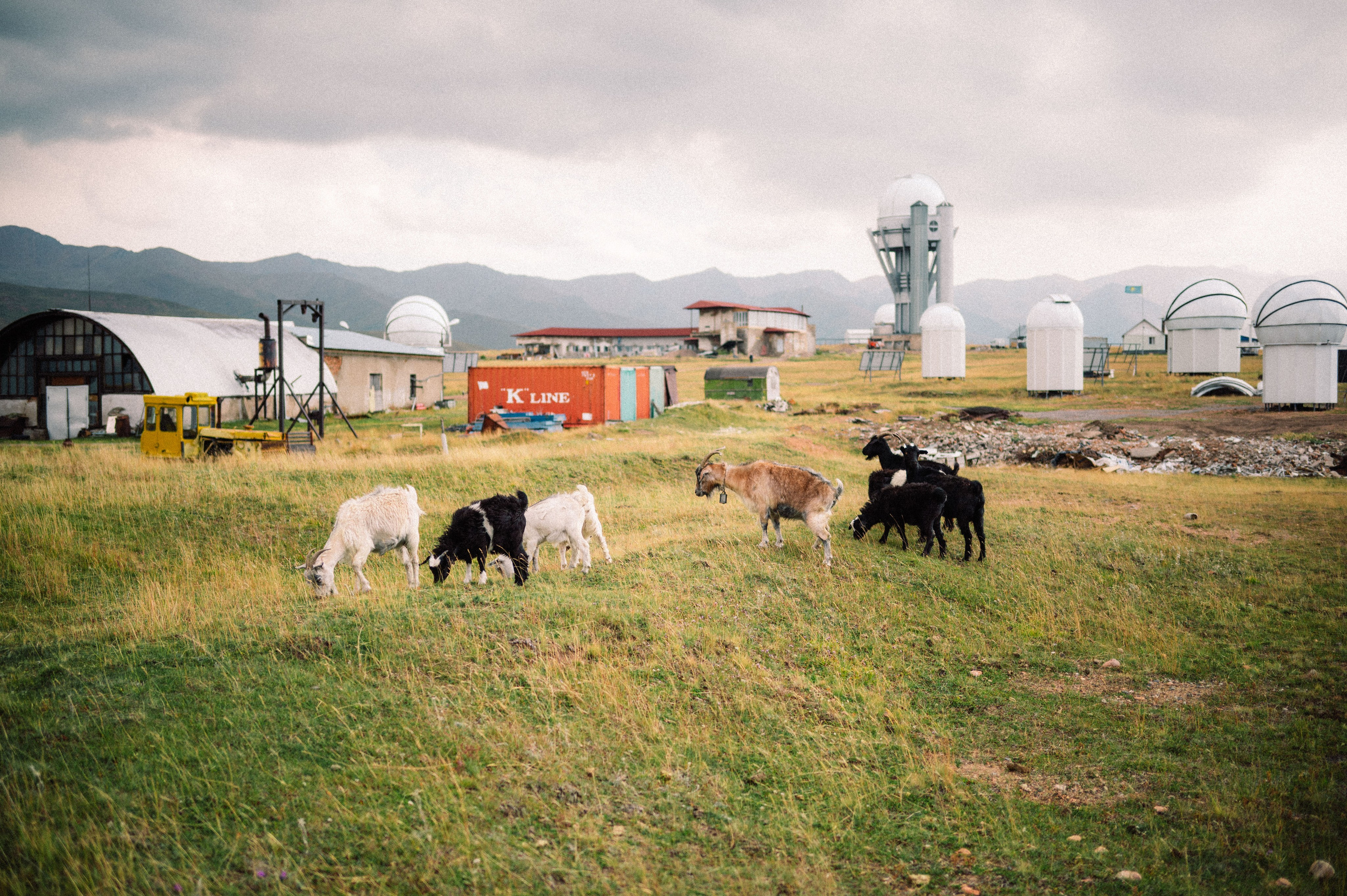 Плато Ассы: июль 2025. Фотограф в Алматы — Дарья Фёдорова